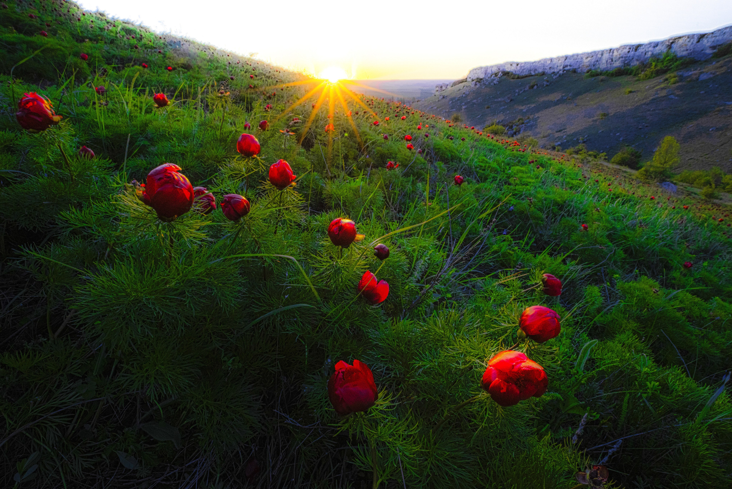 Природа. Глеб Захаренко — спортивный и репортажный фотограф в Крыму