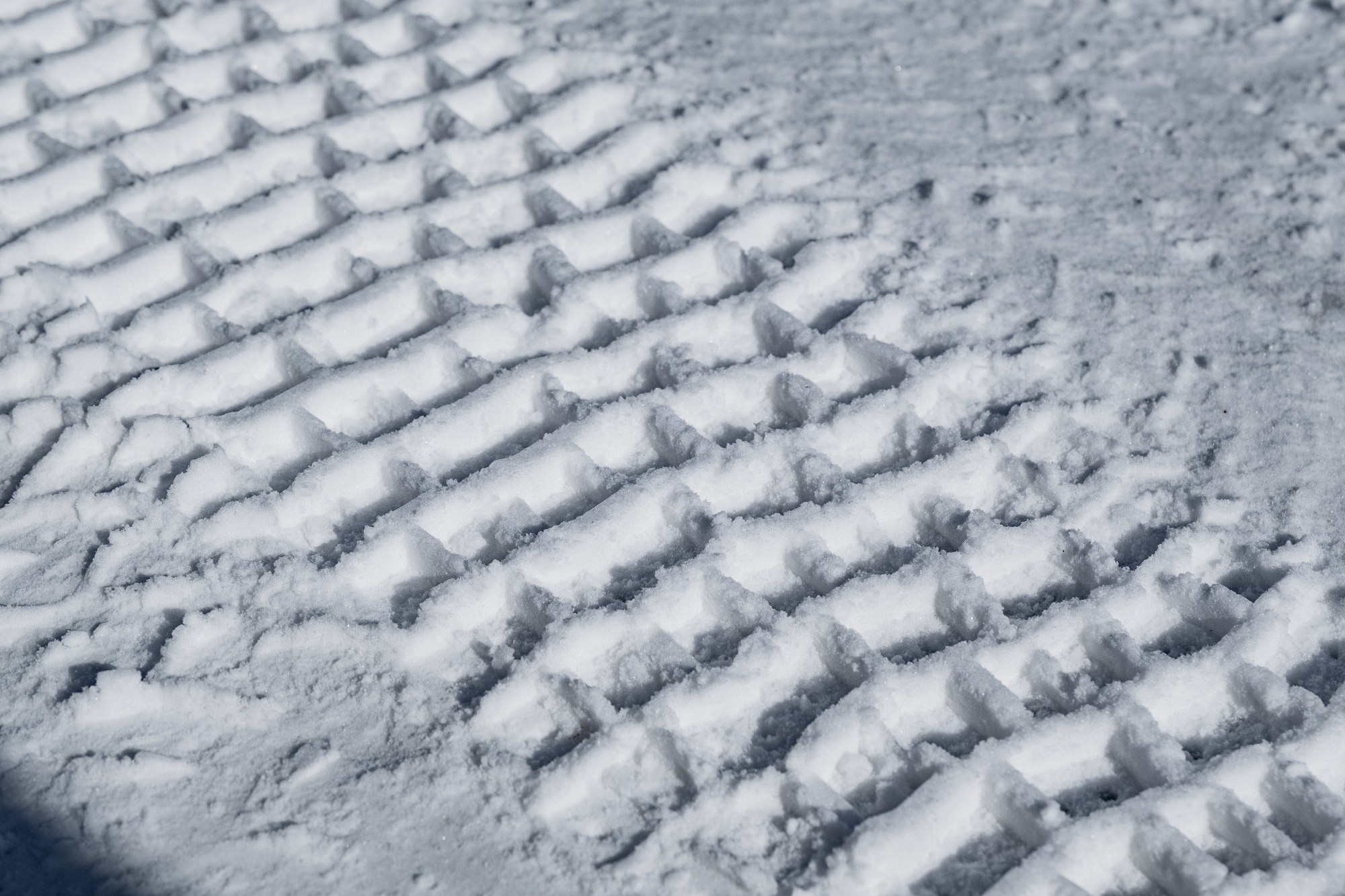 Байкальская Миля. Автоспортивный бренд фотограф в Москве — Виктория Логинова