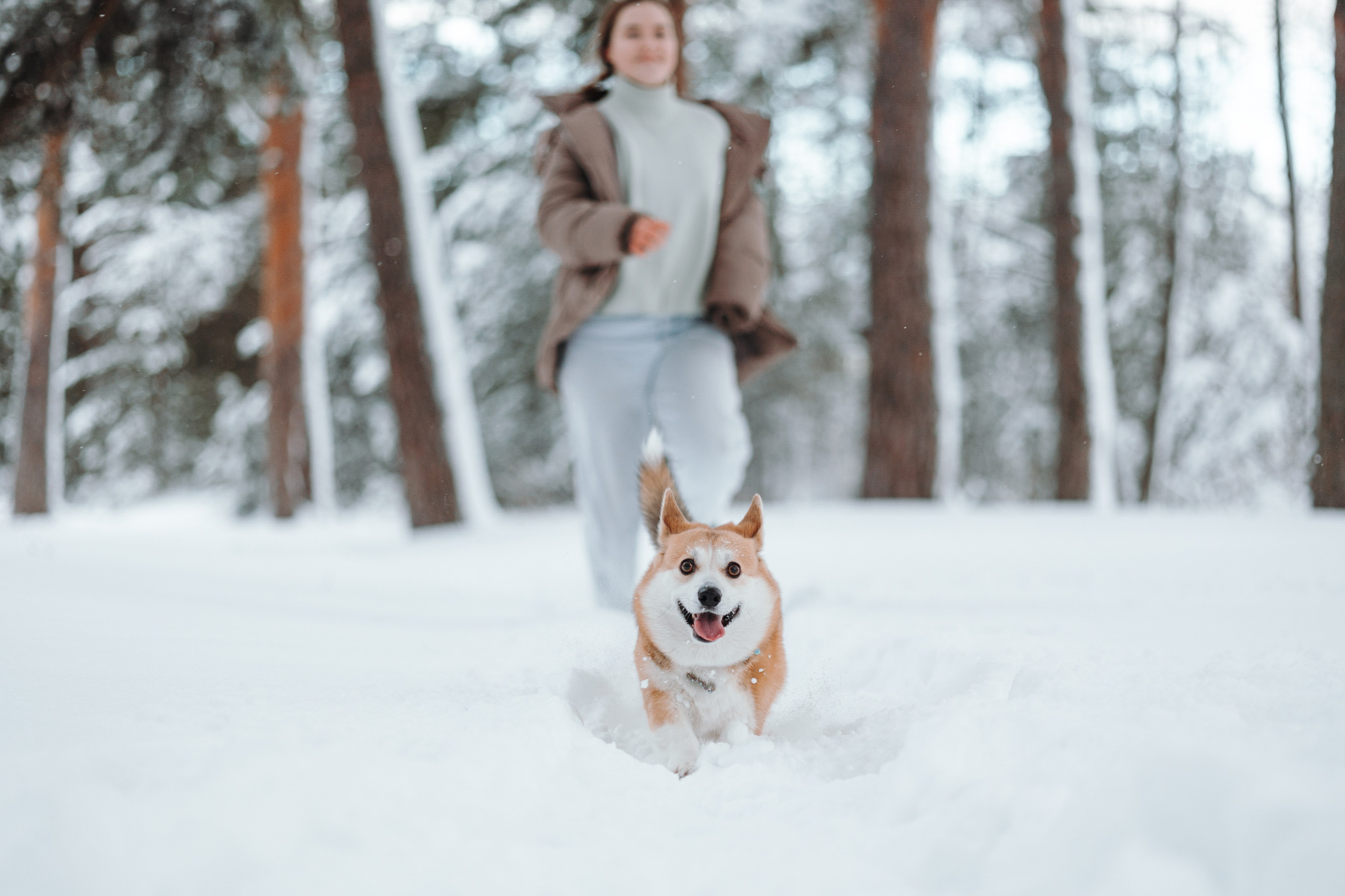 Оливка и ее семья. Фотограф — Анималист | Санкт-Петербург