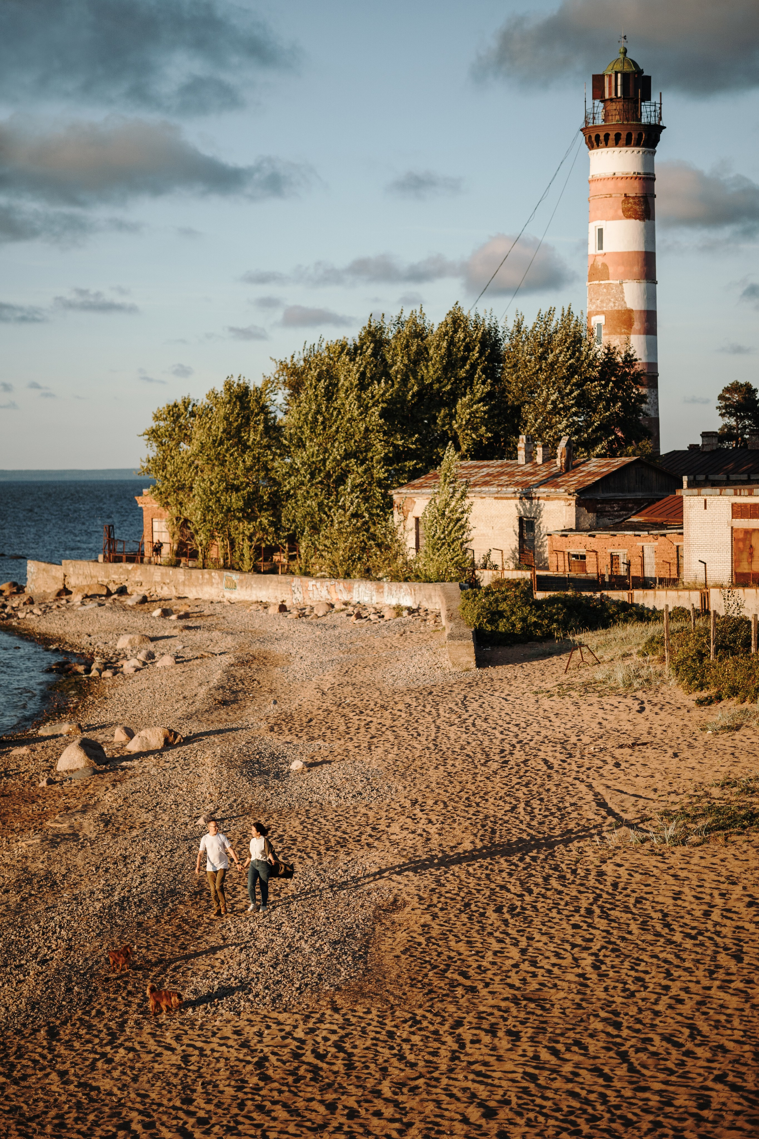Верон, Гарри и их семья. Фотограф — Анималист | Санкт-Петербург