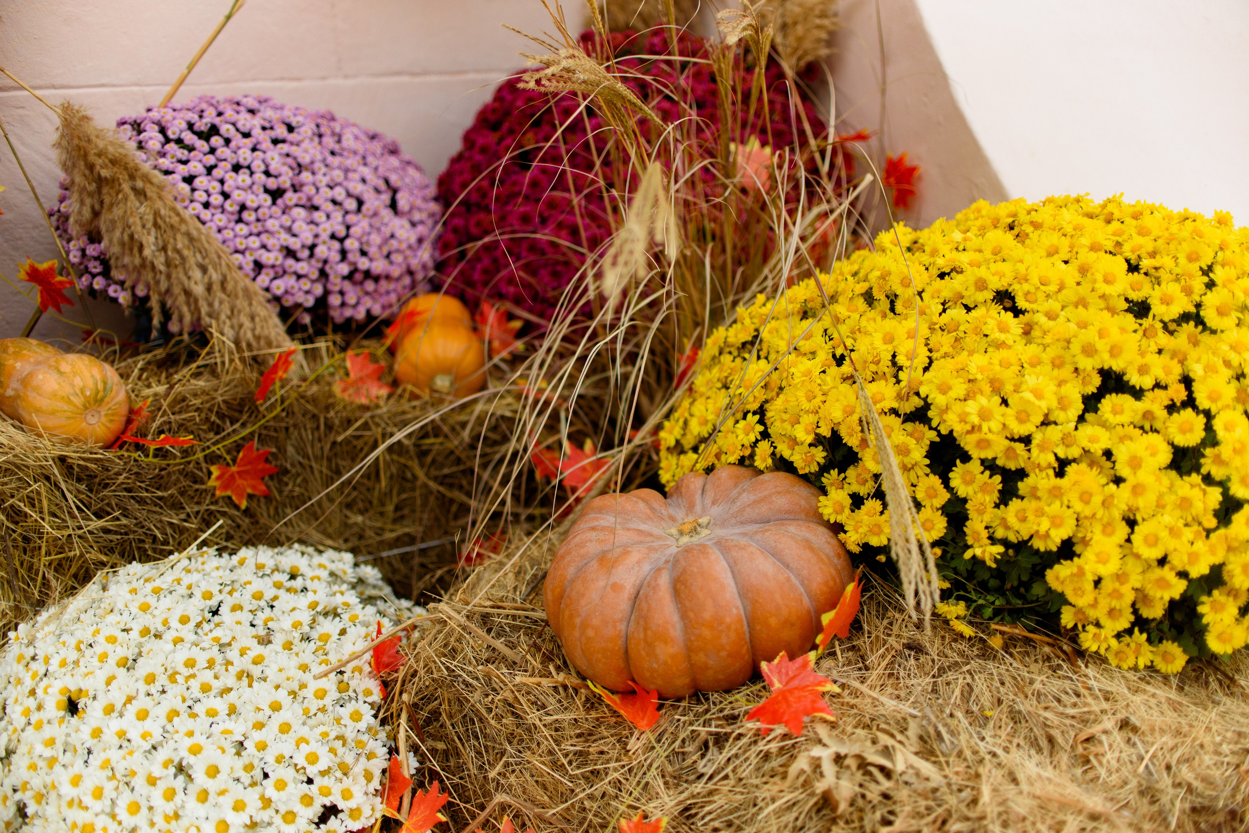 День памяти Казанской иконы Божьей Матери 4.11.2023. Семейный и свадебный фотограф в Феодосии и Коктебеле