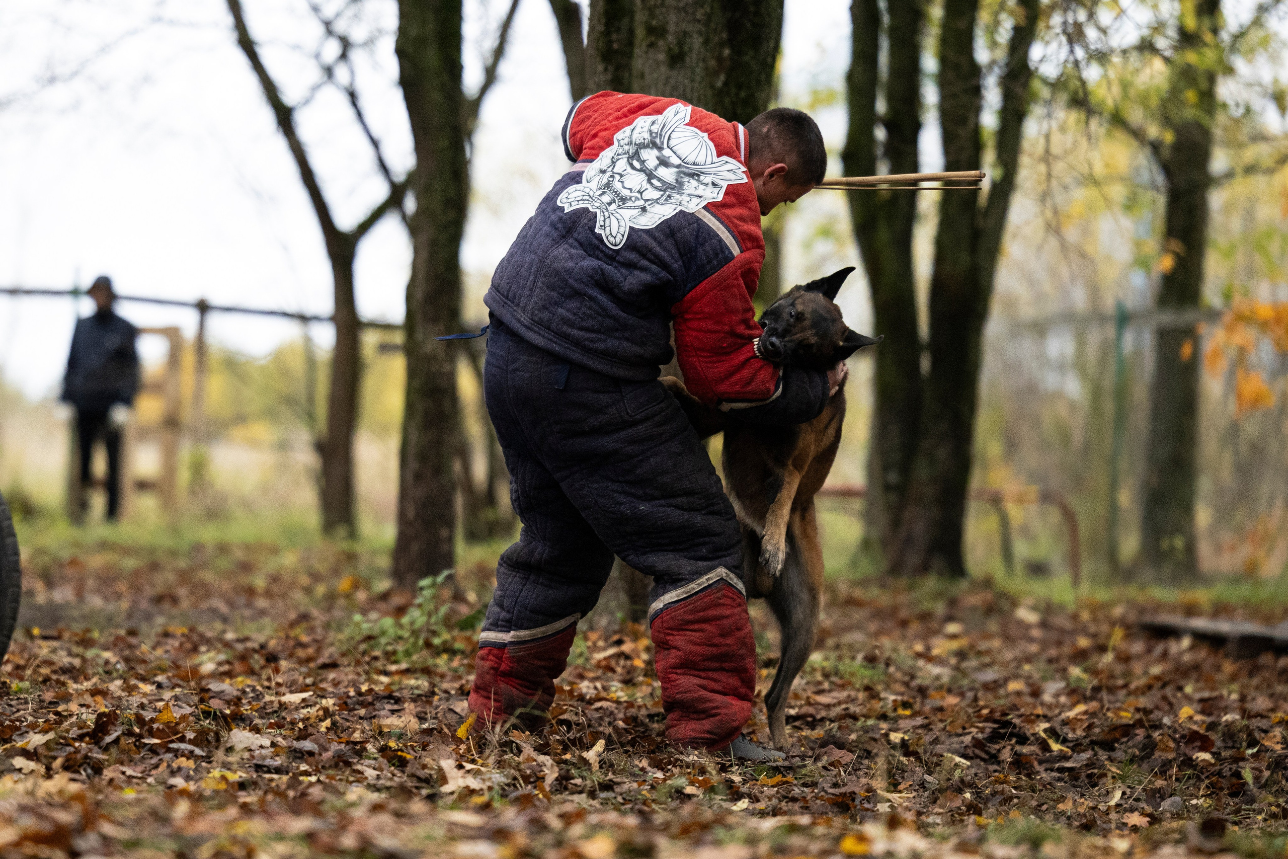 Соревнования по Мондьорингу г. Вологда. Фотограф-анималист Анна Маринич