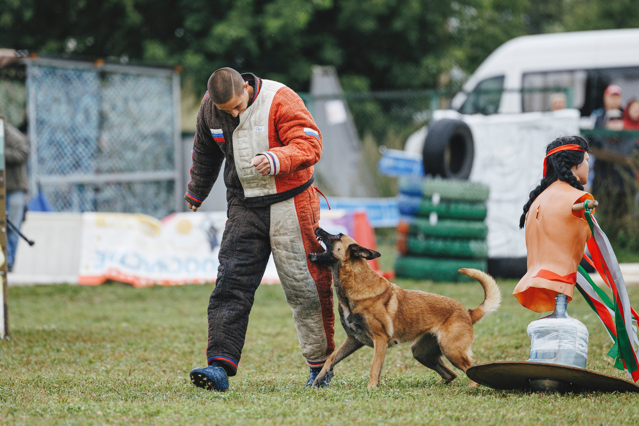 08.08.25-10.08.25 ЧР по мондьорингу г. Вологда. Фотограф-анималист Анна Маринич