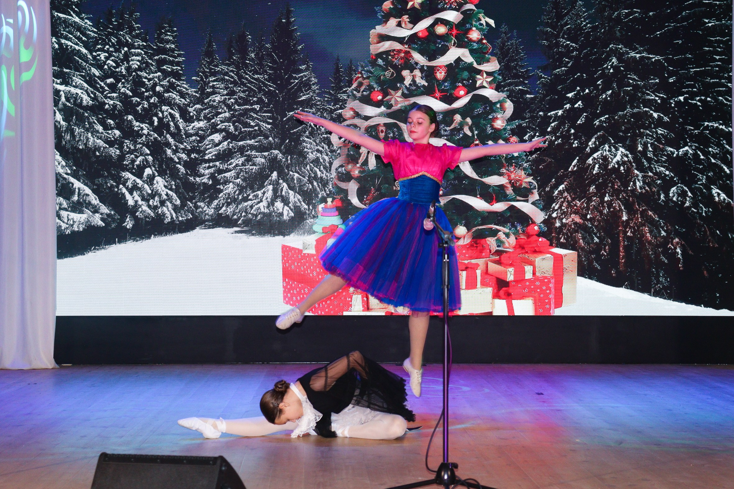 Новогодний концерт Шишли-Мышли