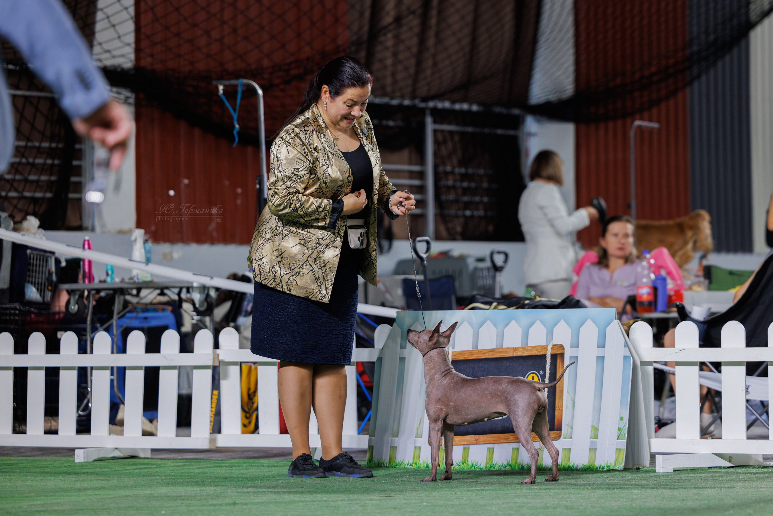 Телави 11-12.10.2025. Фотограф-анималист Юлия Германика