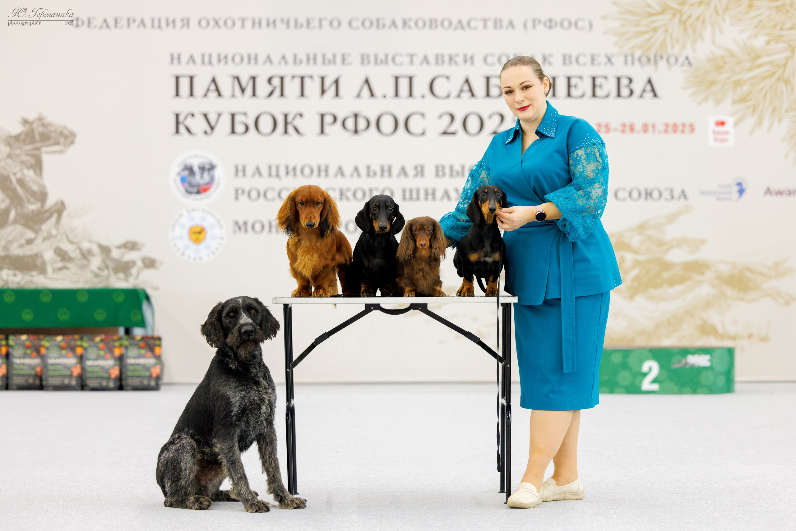 Сабанеевка Казань 25-26.01.2025. Фотограф-анималист Юлия Германика