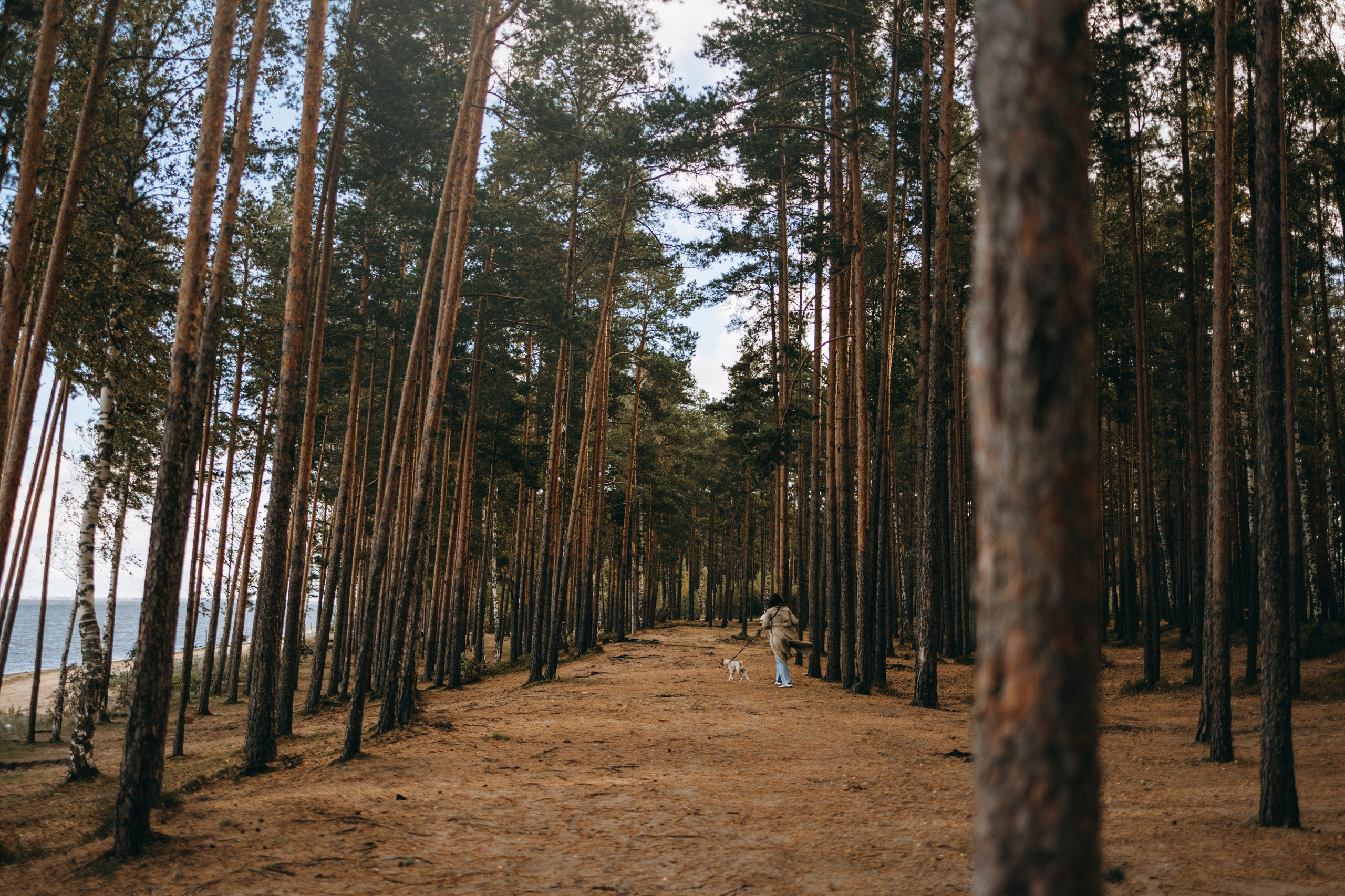 Алиса и Лео. Фотограф — Анималист | Санкт-Петербург