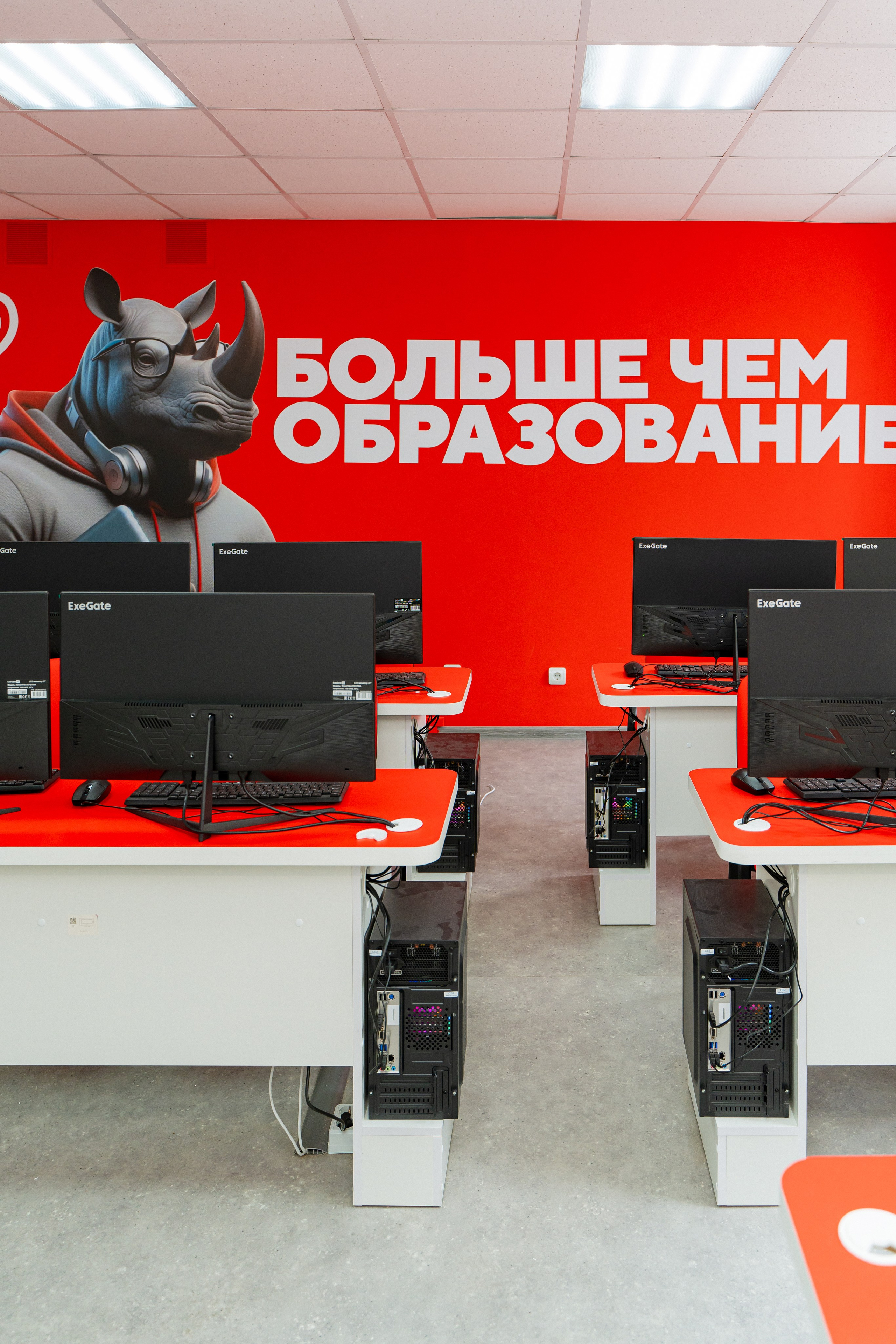 Синергия. Фотограф Мария Зайчик