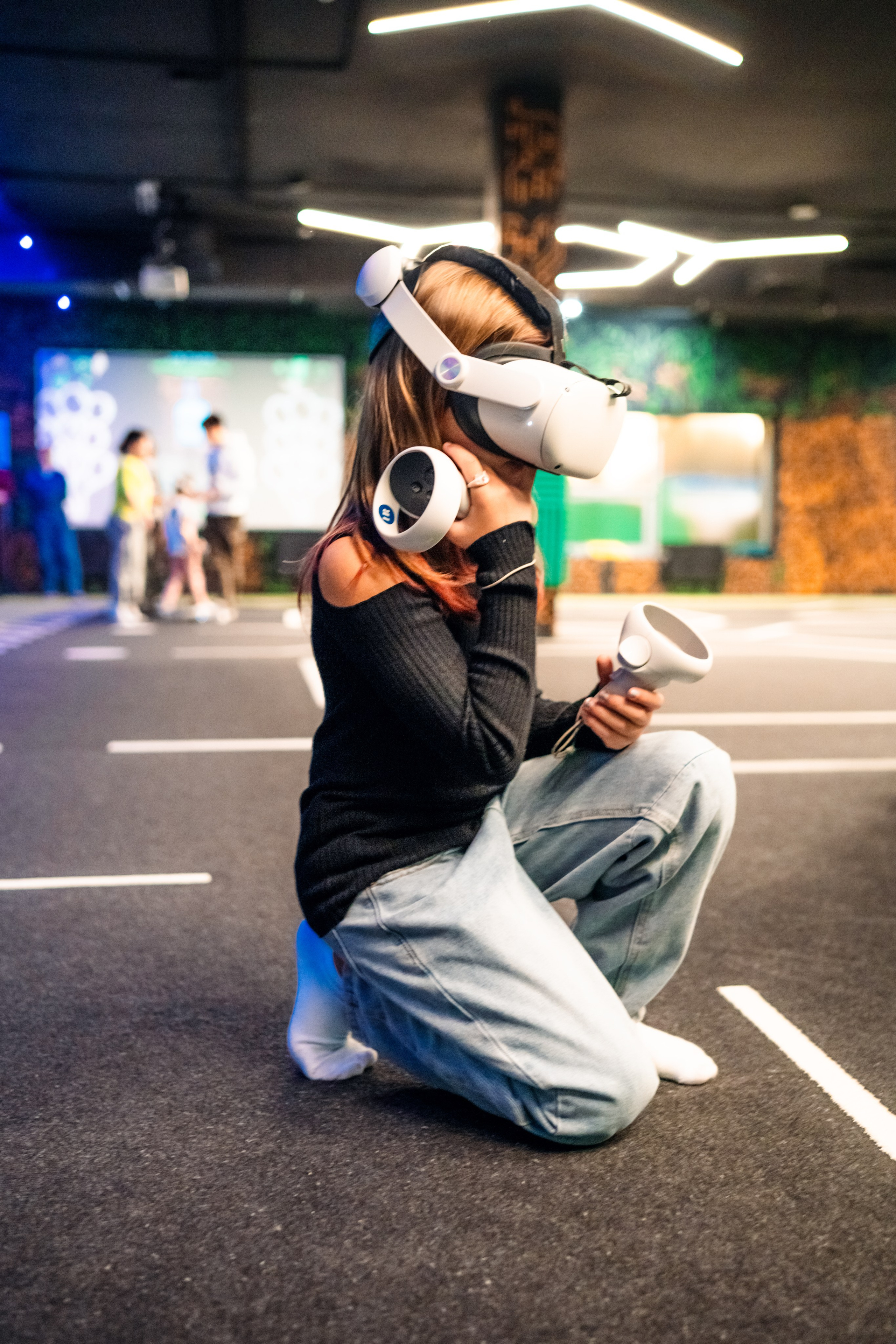 VR (November-December 2024). Felixtones