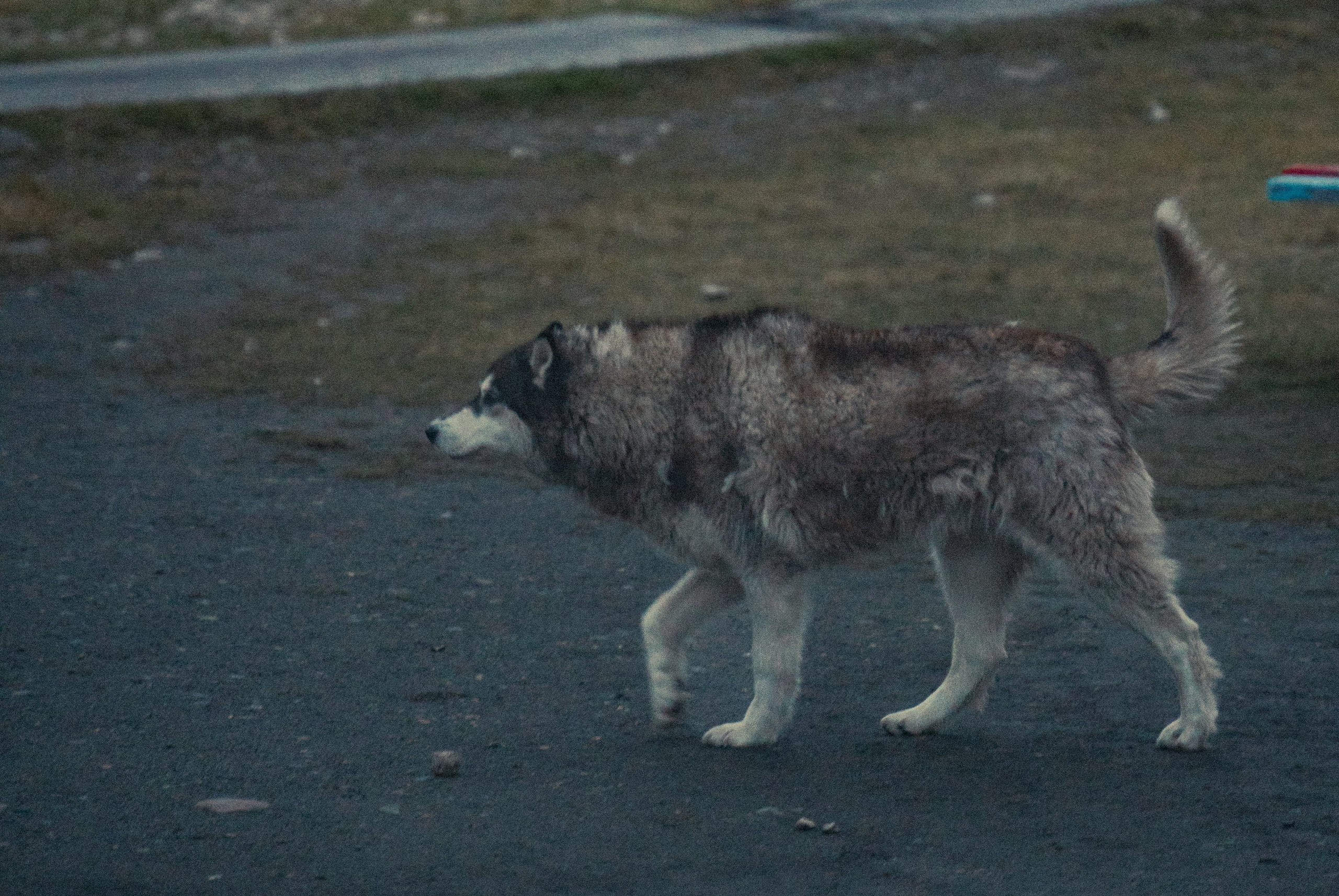 Уральские горы, Октябрь 2024