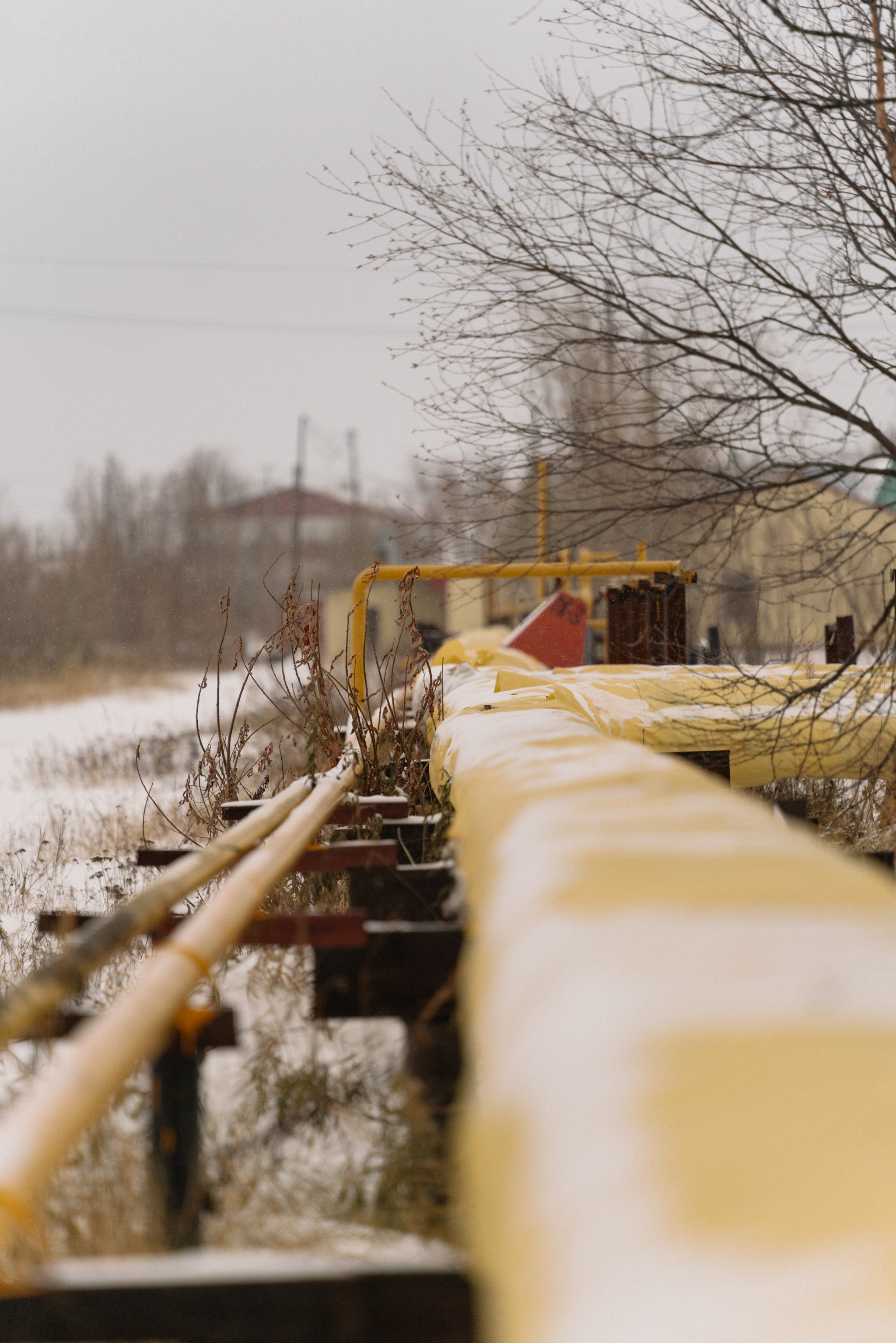 Уренгой, Октябрь 2024