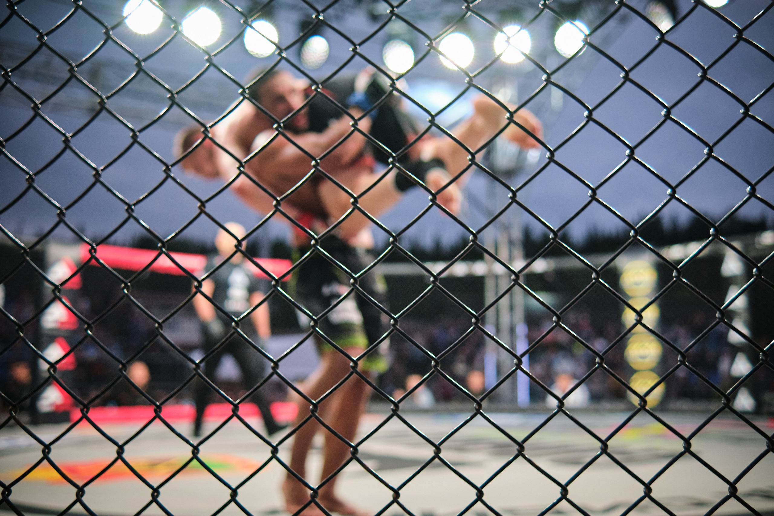 ММА на ПРО ГЕШ. Свадебный и семейный фотограф в Новокузнецке Иван Иванов