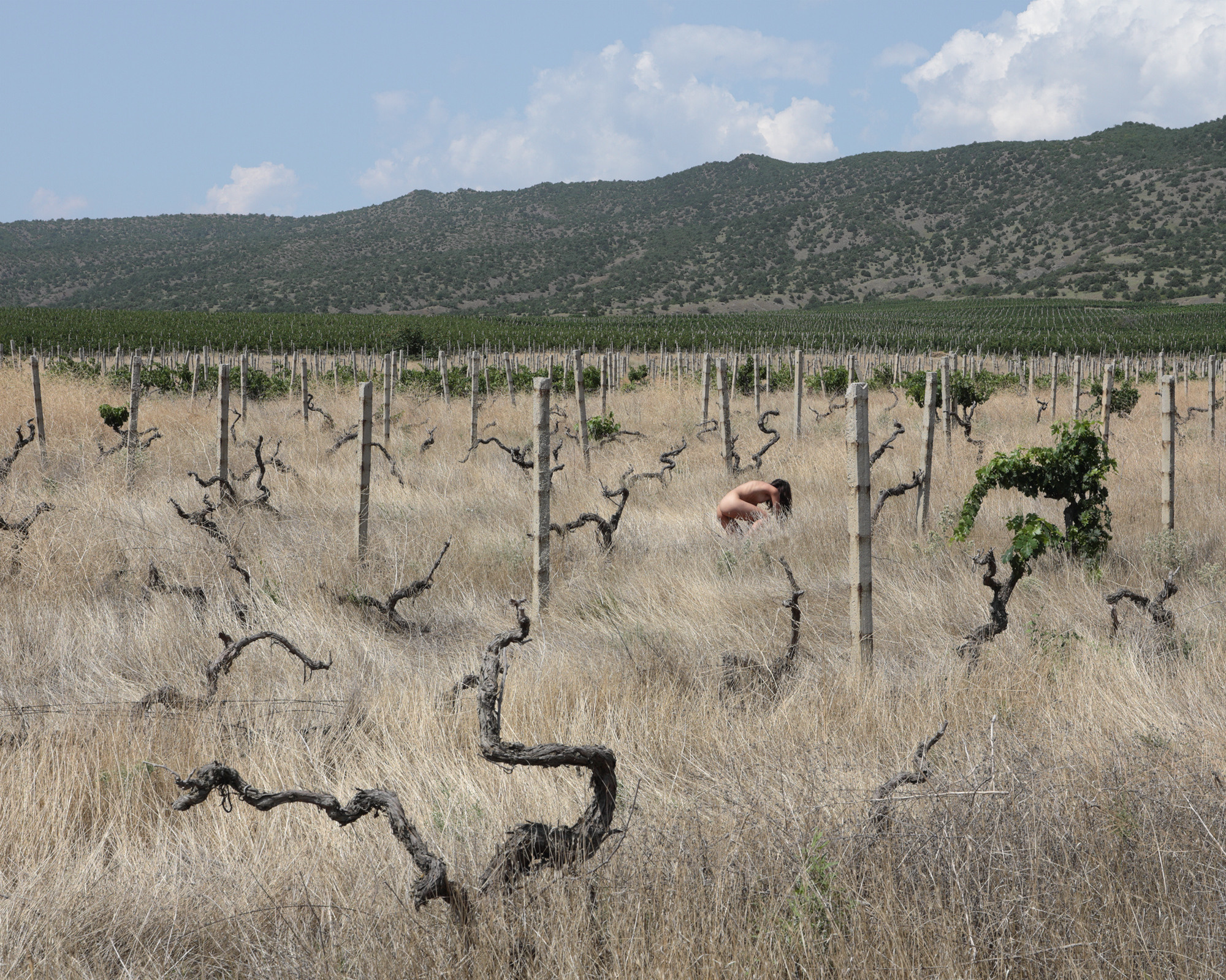 Seaside rendez-vous. Alexander Zorin