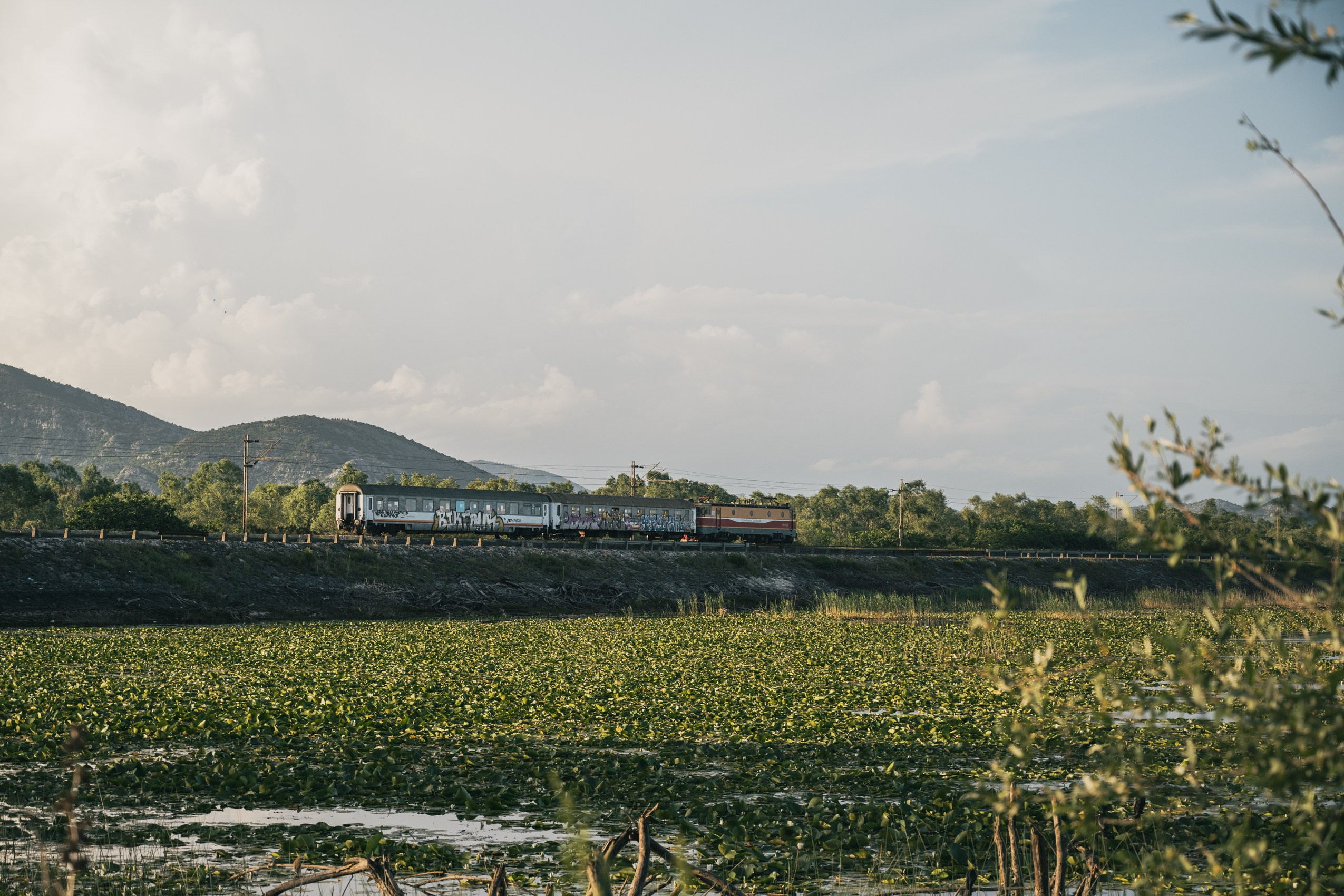СКАДАРСКОЕ ОЗЕРО. ЧЕРНОГОРИЯ. Фотограф в Белграде Чугреева Елена