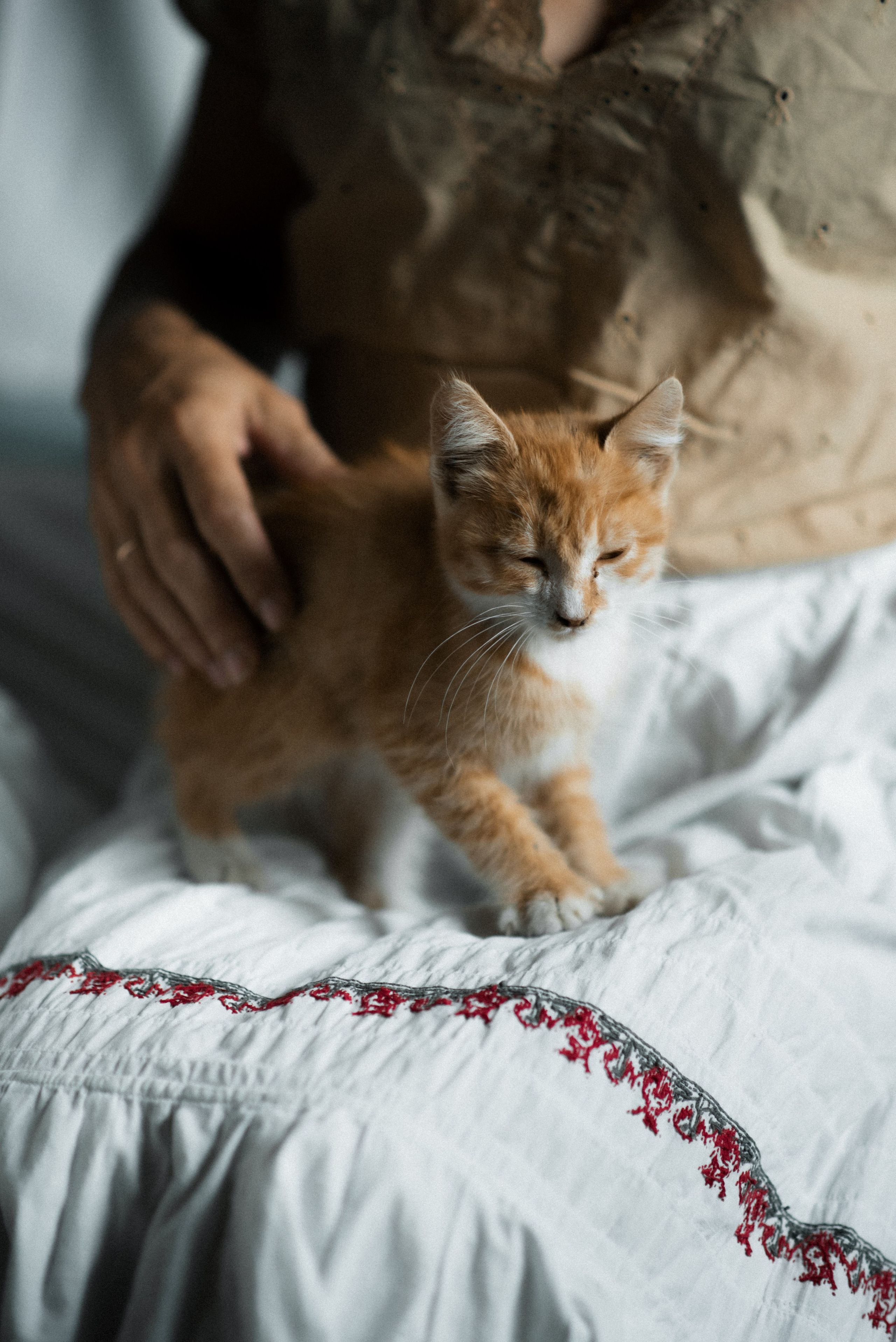 Дом, милый дом. Главная