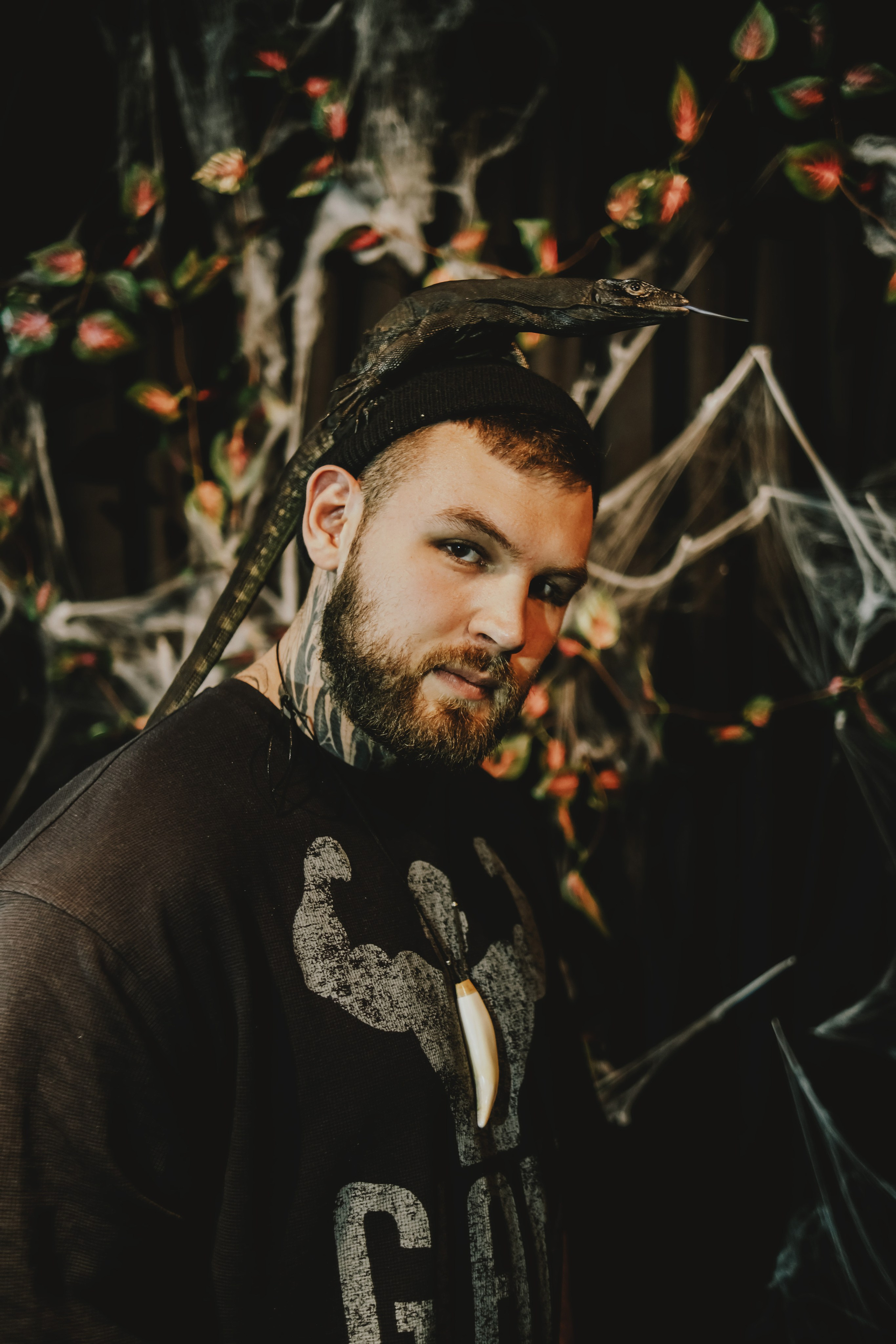 Дом Драконов. Nattie.ph