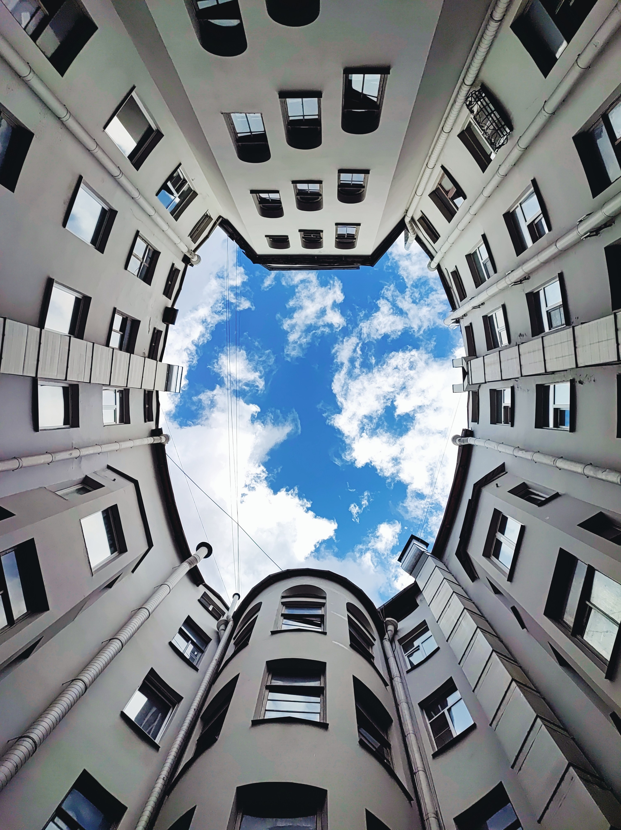 Намобилкус питерский. Репортажный фотограф Алексей Пирязев