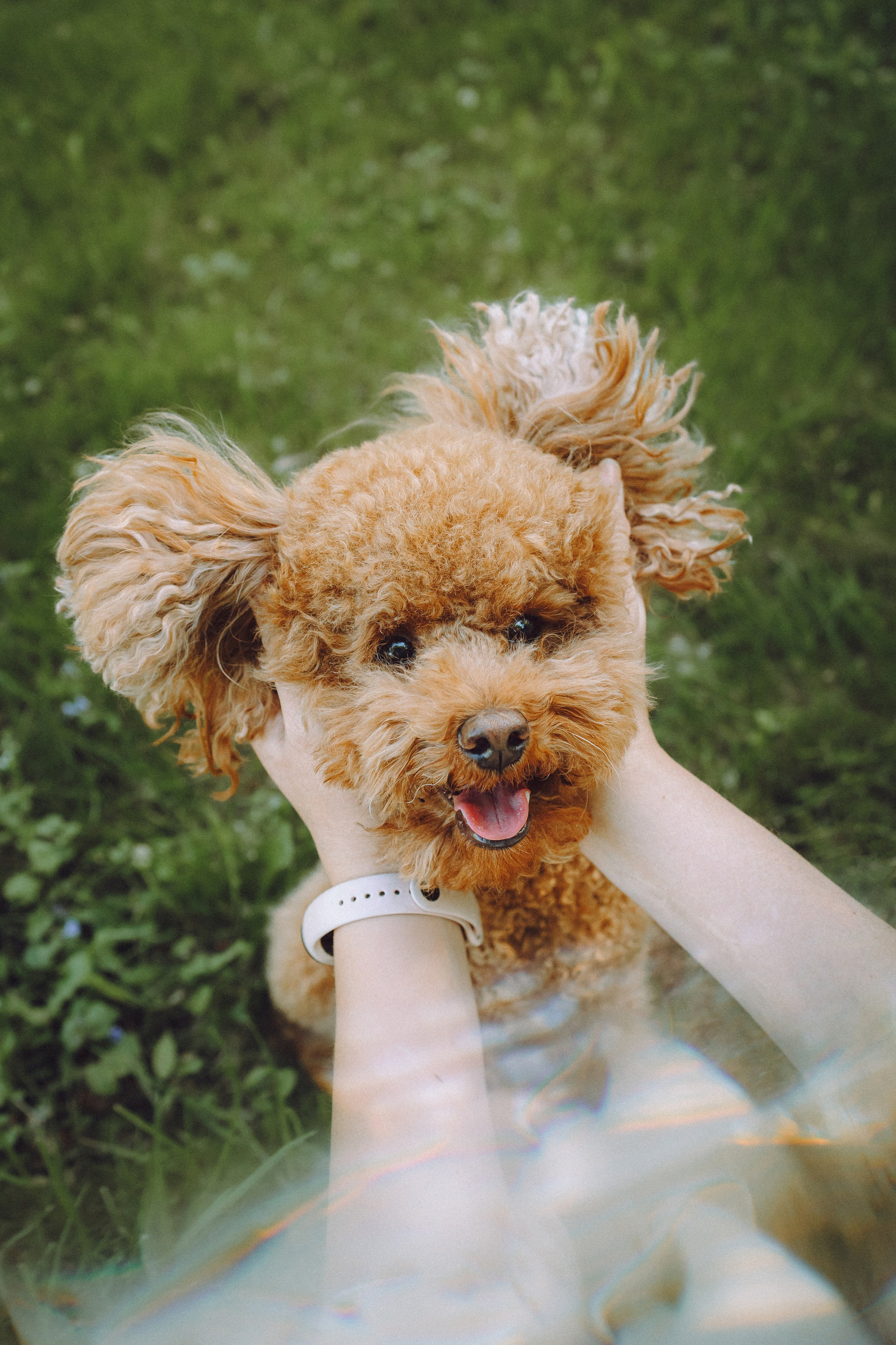 Марья и Буба