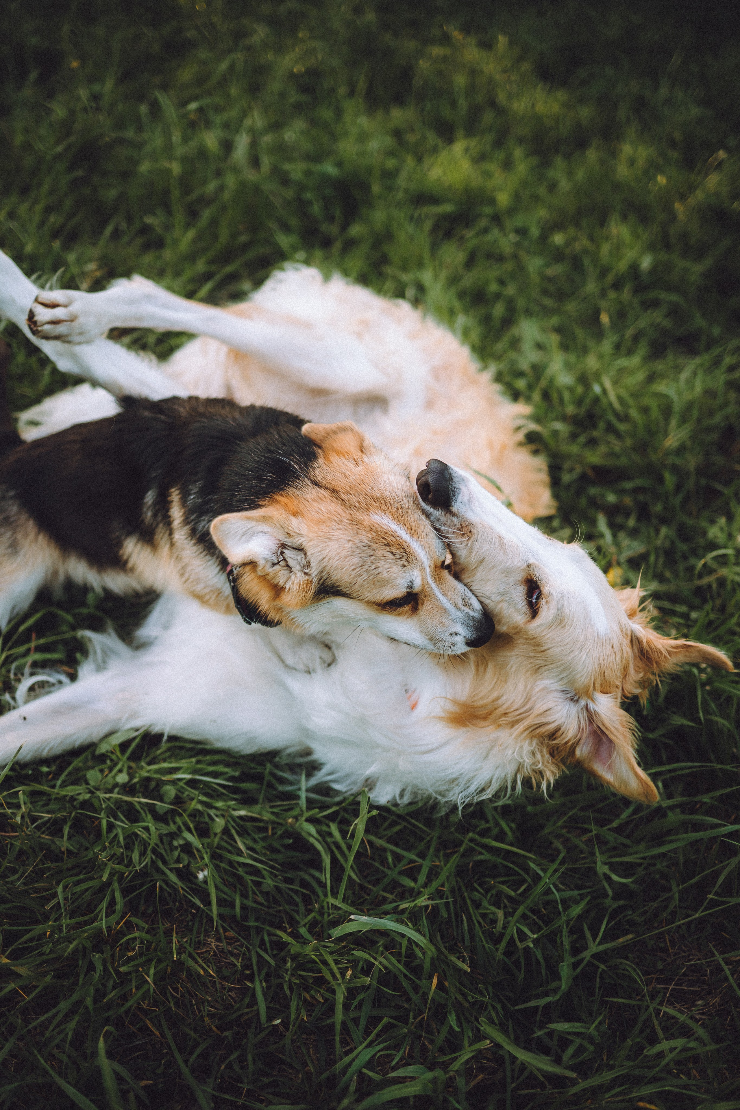 Илай, Зайка и их семья