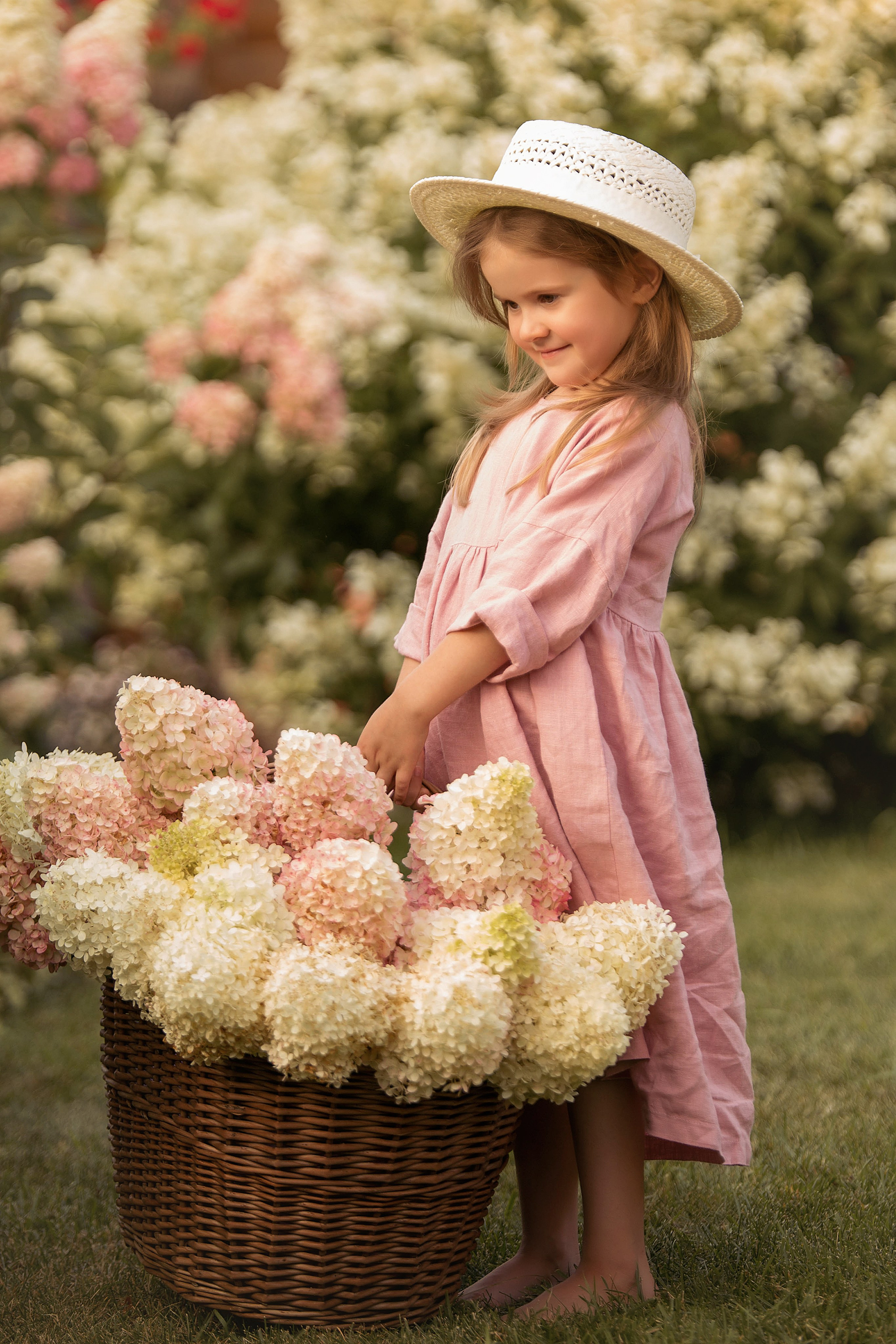 Гортензии!. Индивидульный, семейный и детский фотограф в Тюмени Елена Пахомычева