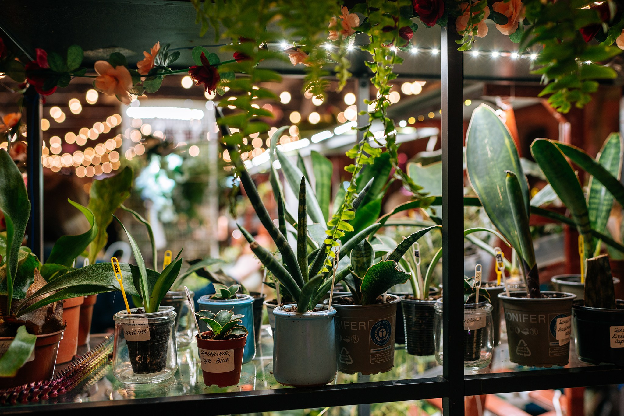 ВАУ Фест. Март 26. Репортажный фотограф в Санкт-Петербурге Анастасия Клёпова