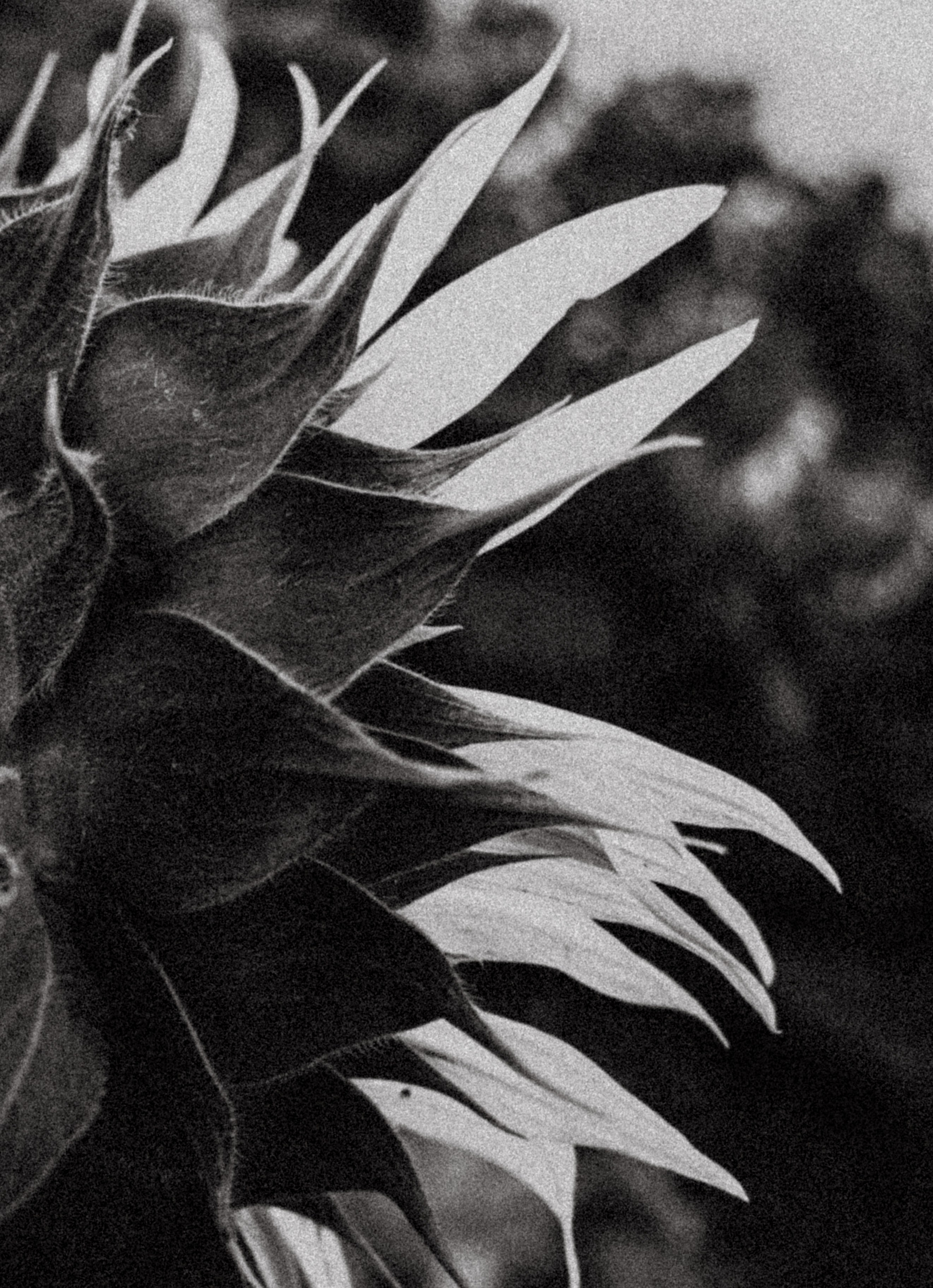 Катя Саратов. Фотограф в Нижнем Новгороде