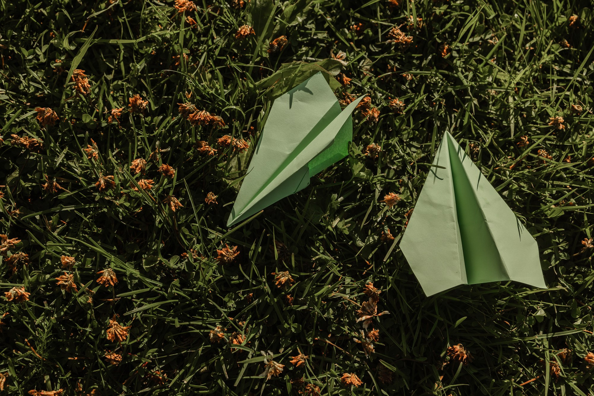 Яна &  Дмитрий. Свадебный фотограф в Москве и Санкт-Петербурге Анастасия Мирославская