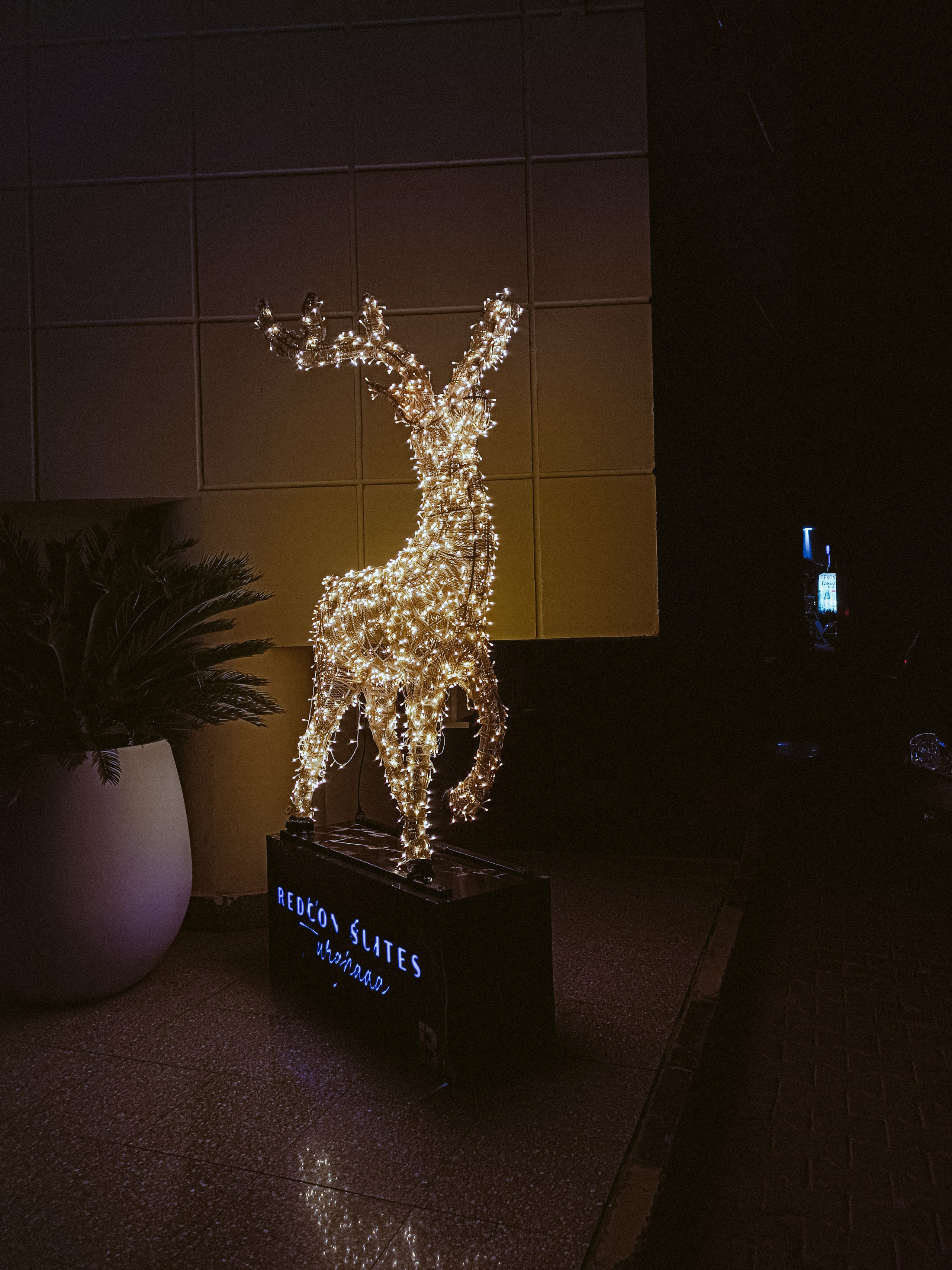 Мобильная. Jorgis — фотограф в Хургаде / обучение фотографии