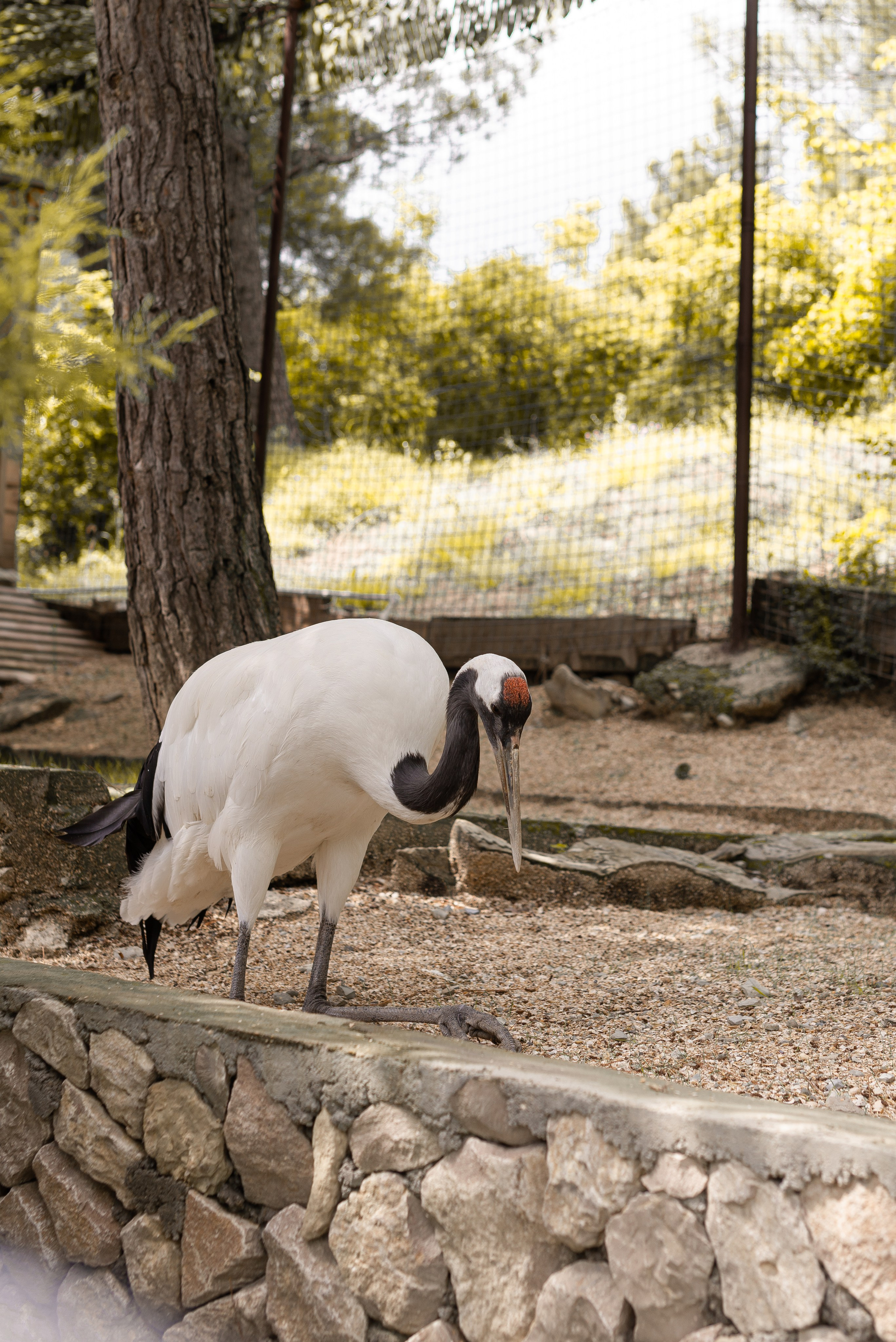 Июнь–Июль Отпуск Белореченск, Геленджик. Семейный, Свадебный фотограф СПБ Питер— Романова Екатерина