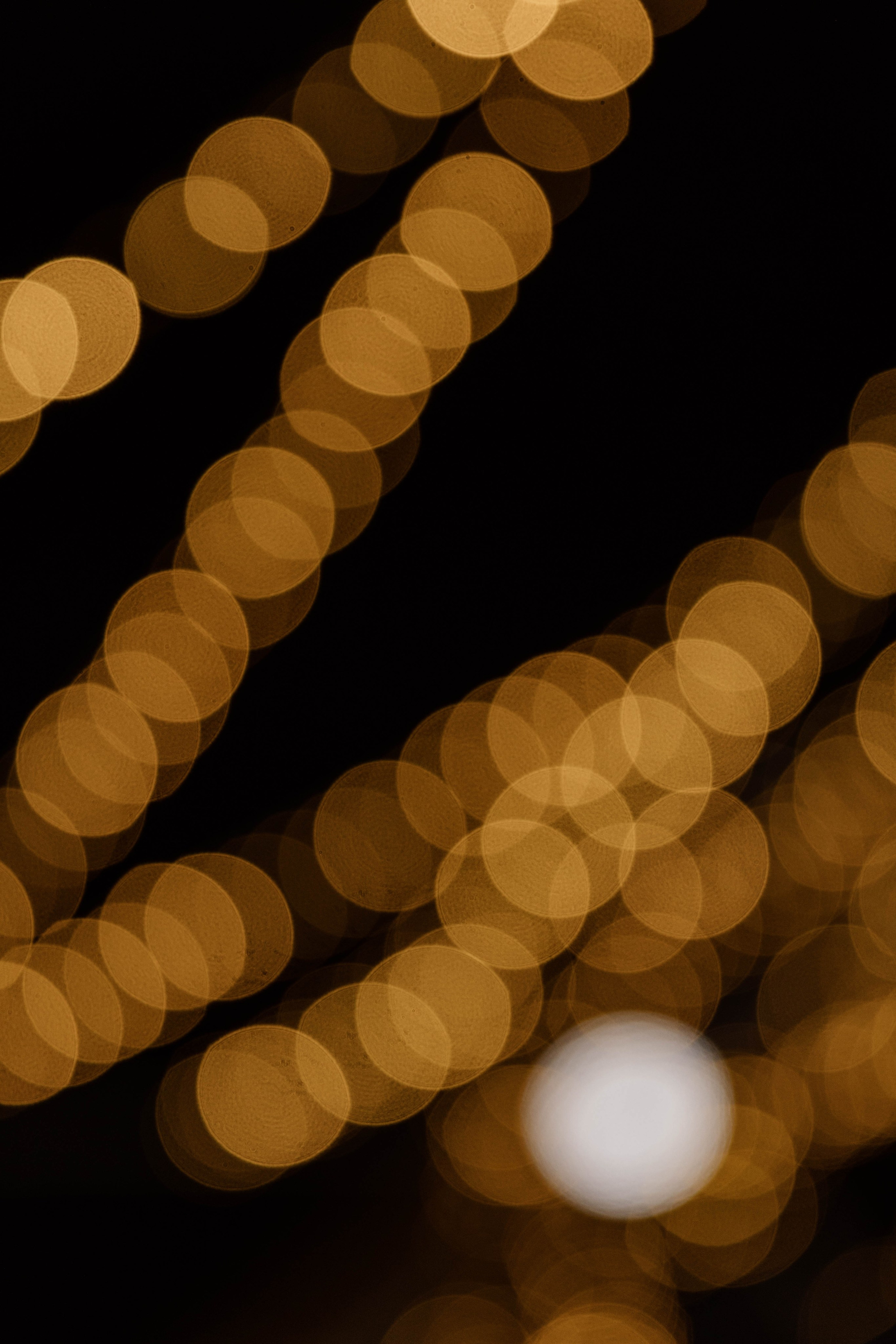 Максим и Мила. Фотограф Юсова Мария