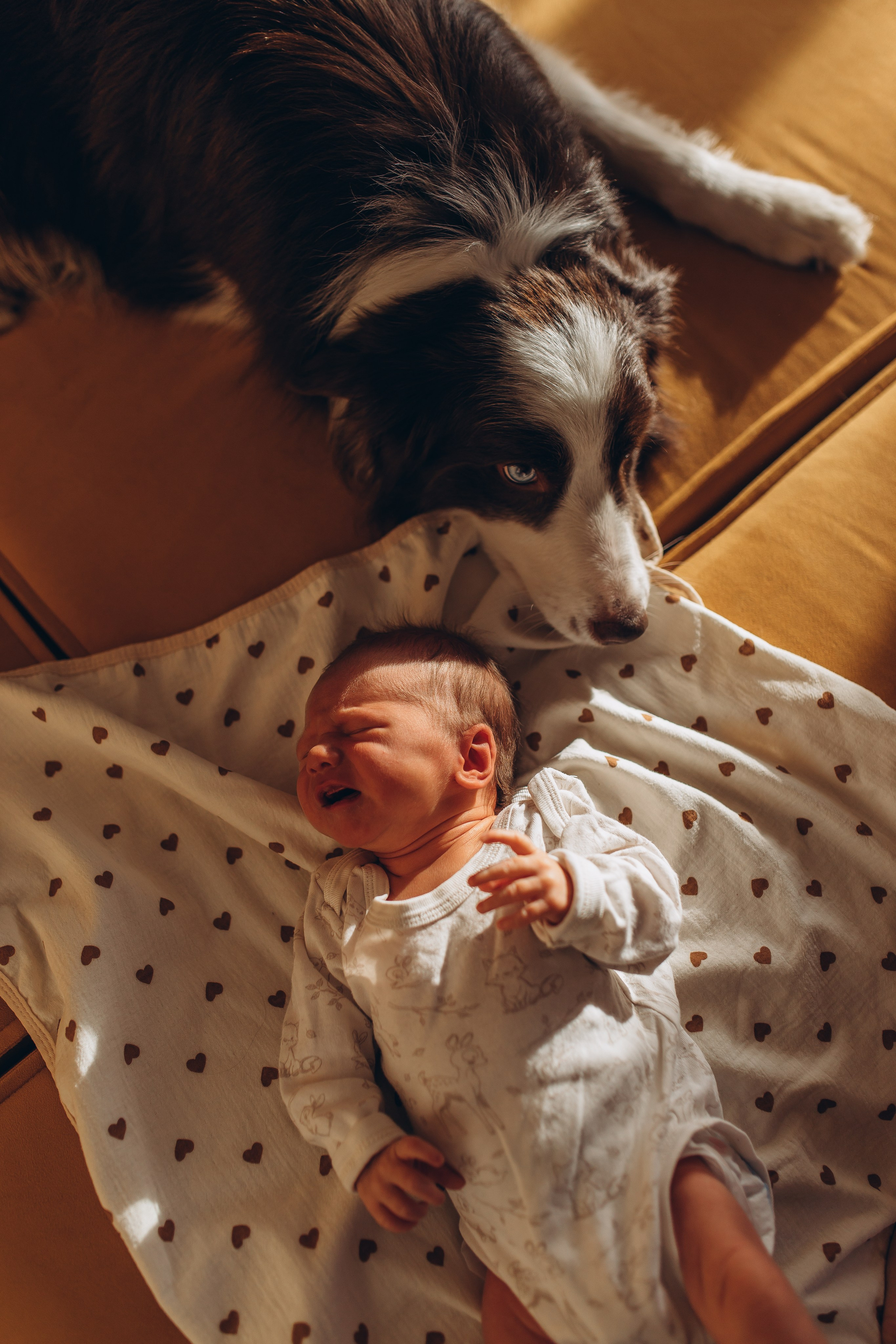 Новорождённые и малыши. Семейный фотограф Маруся Самылкина в Санкт-Петербурге