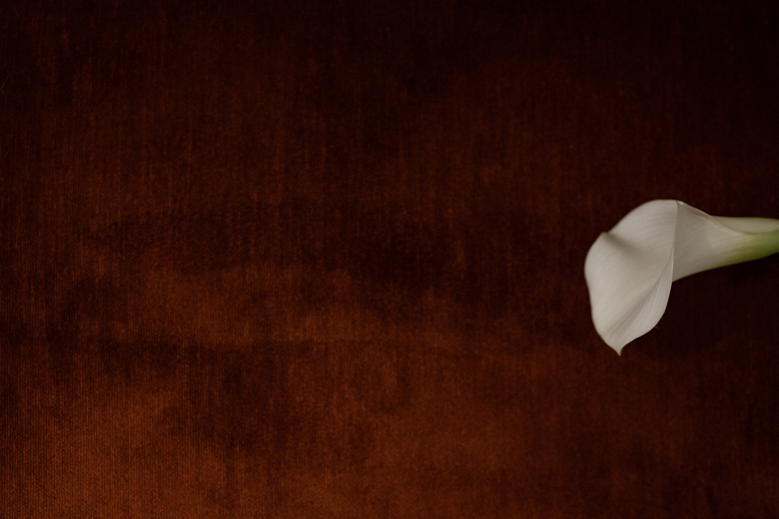 Стас и Серафима. Свадебный и репортажный фотограф Сергей Чесноков