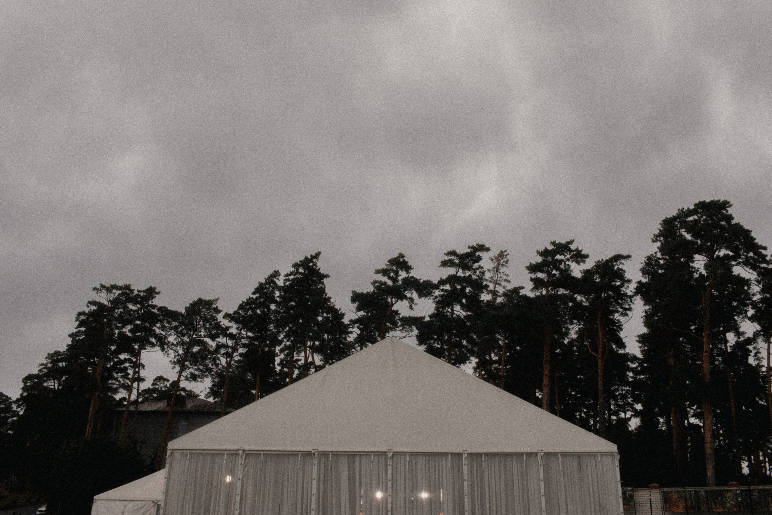 Николай и Елена. Свадебный фотограф Артак Костанян