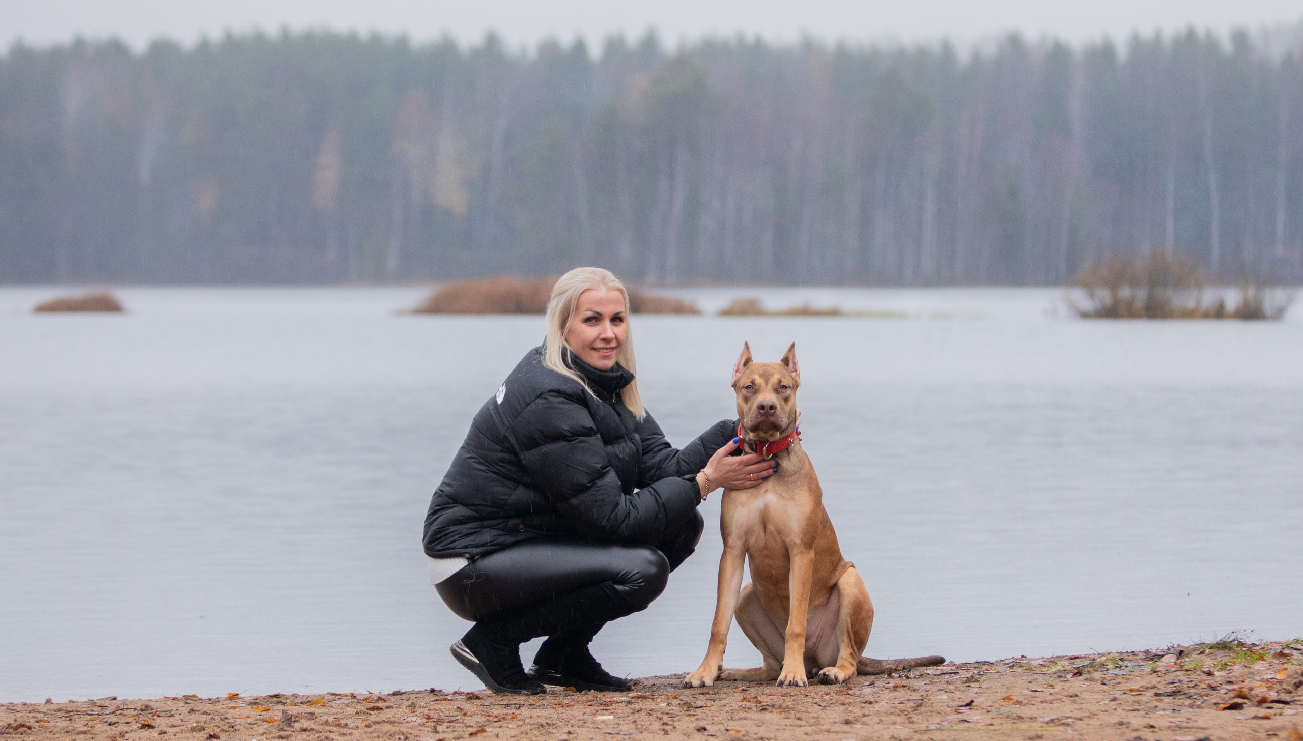 Прогулочные фотосъёмки лес, поле. Фотограф-анималист Павлова Любовь