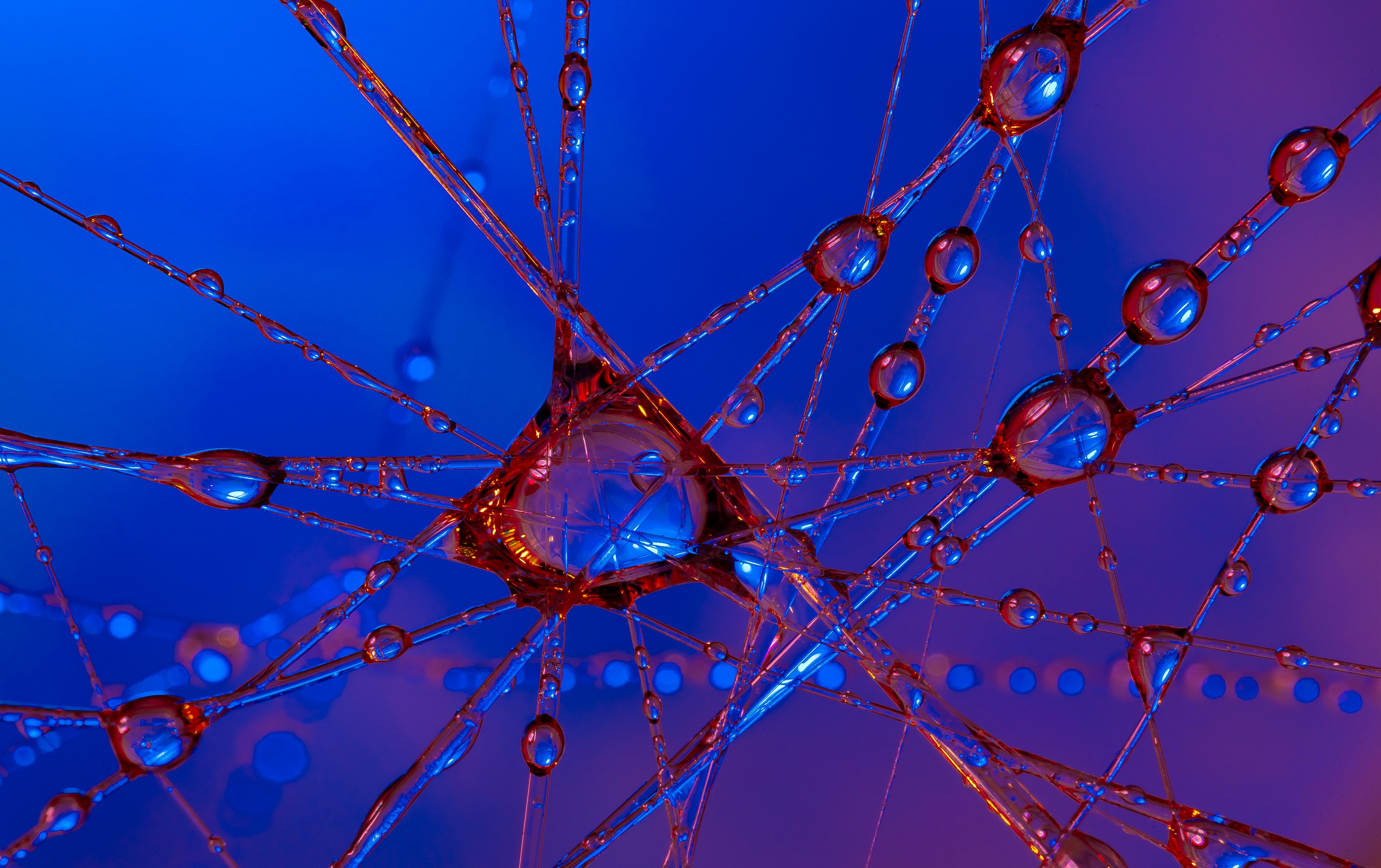 Необычные фото. Макс По — фото и видео съемки любого формата