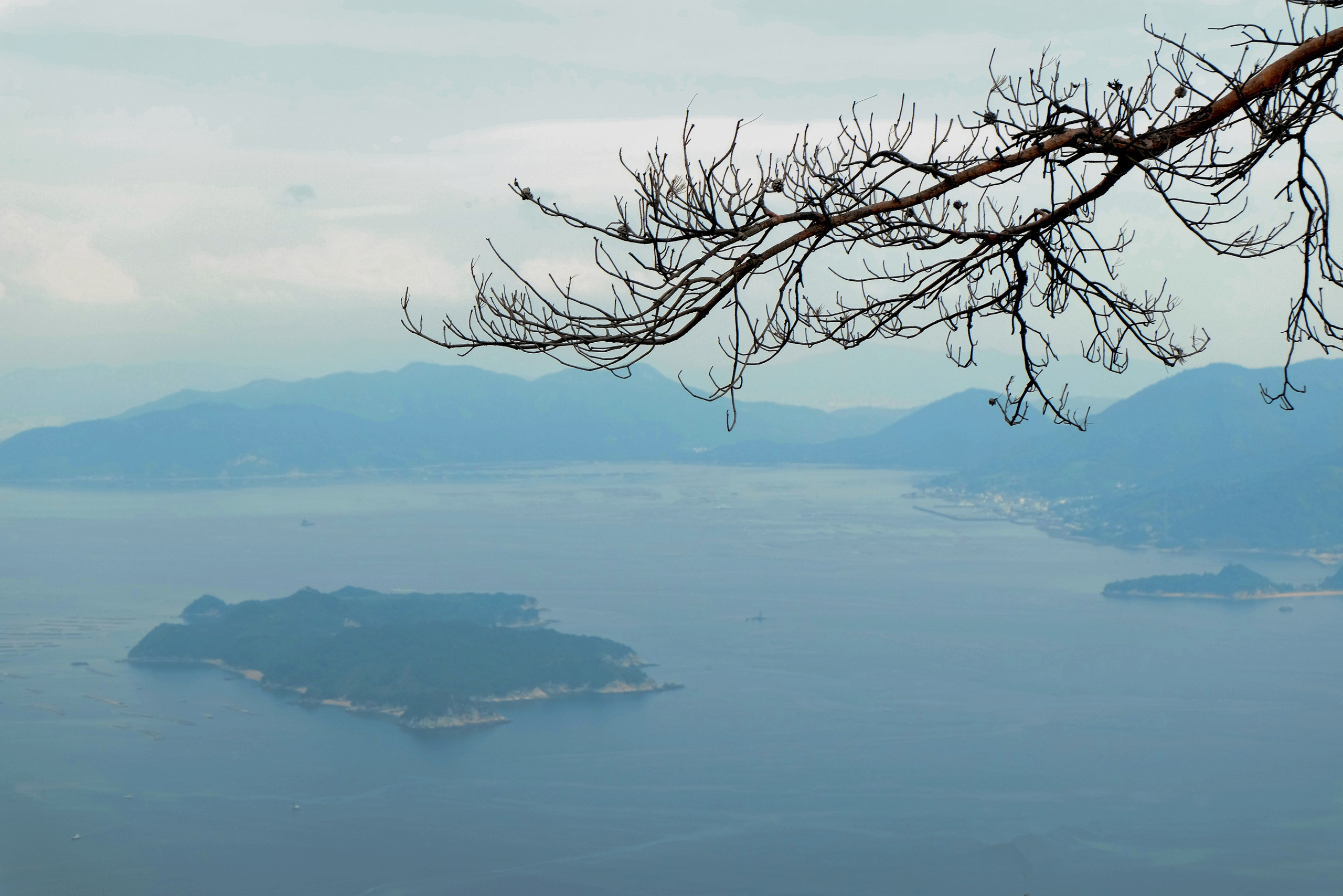 ЯПОНИЯ. Семейный и travel-фотограф из Израиля