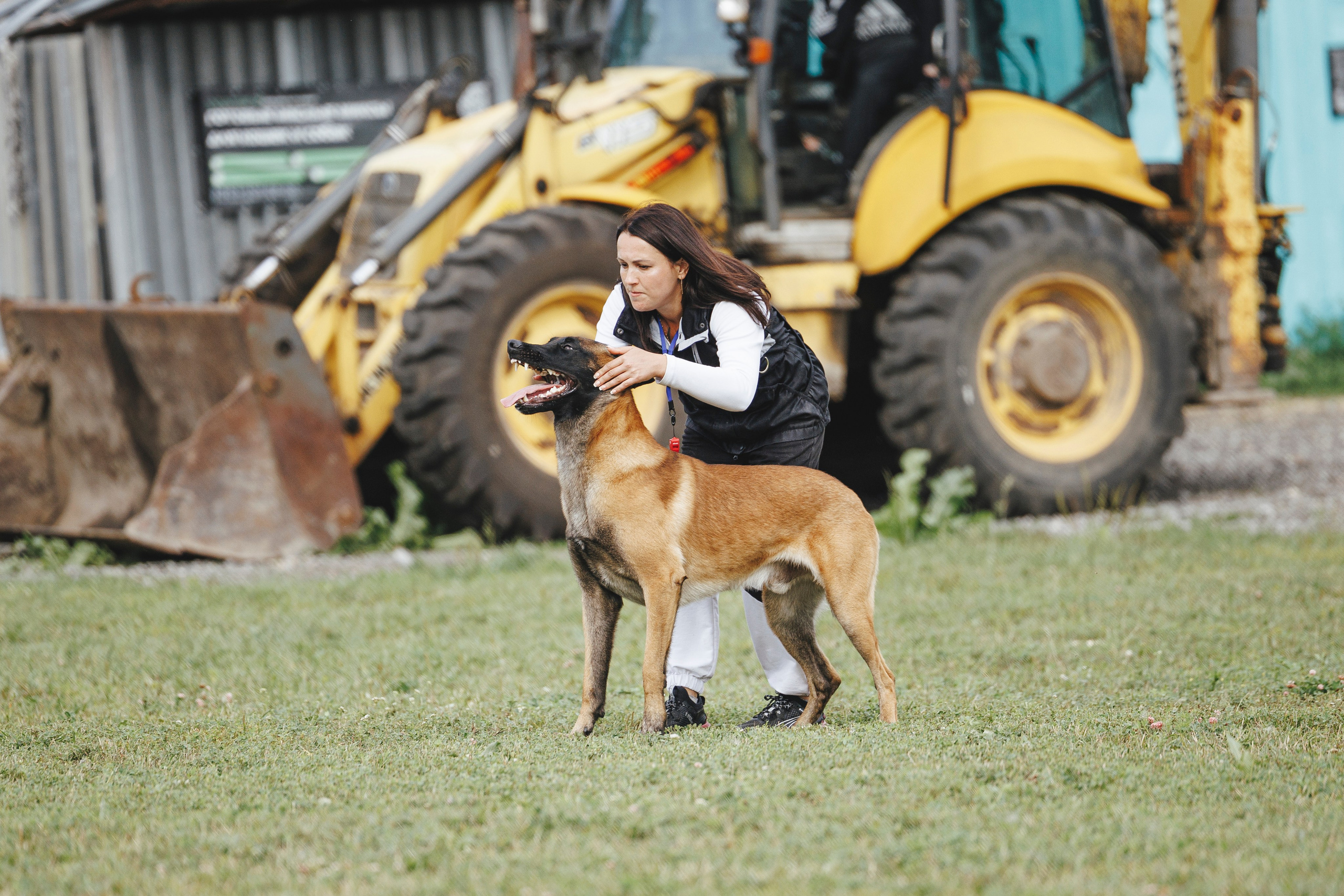 08.08.25-10.08.25 ЧР по мондьорингу г. Вологда. Фотограф-анималист Анна Маринич