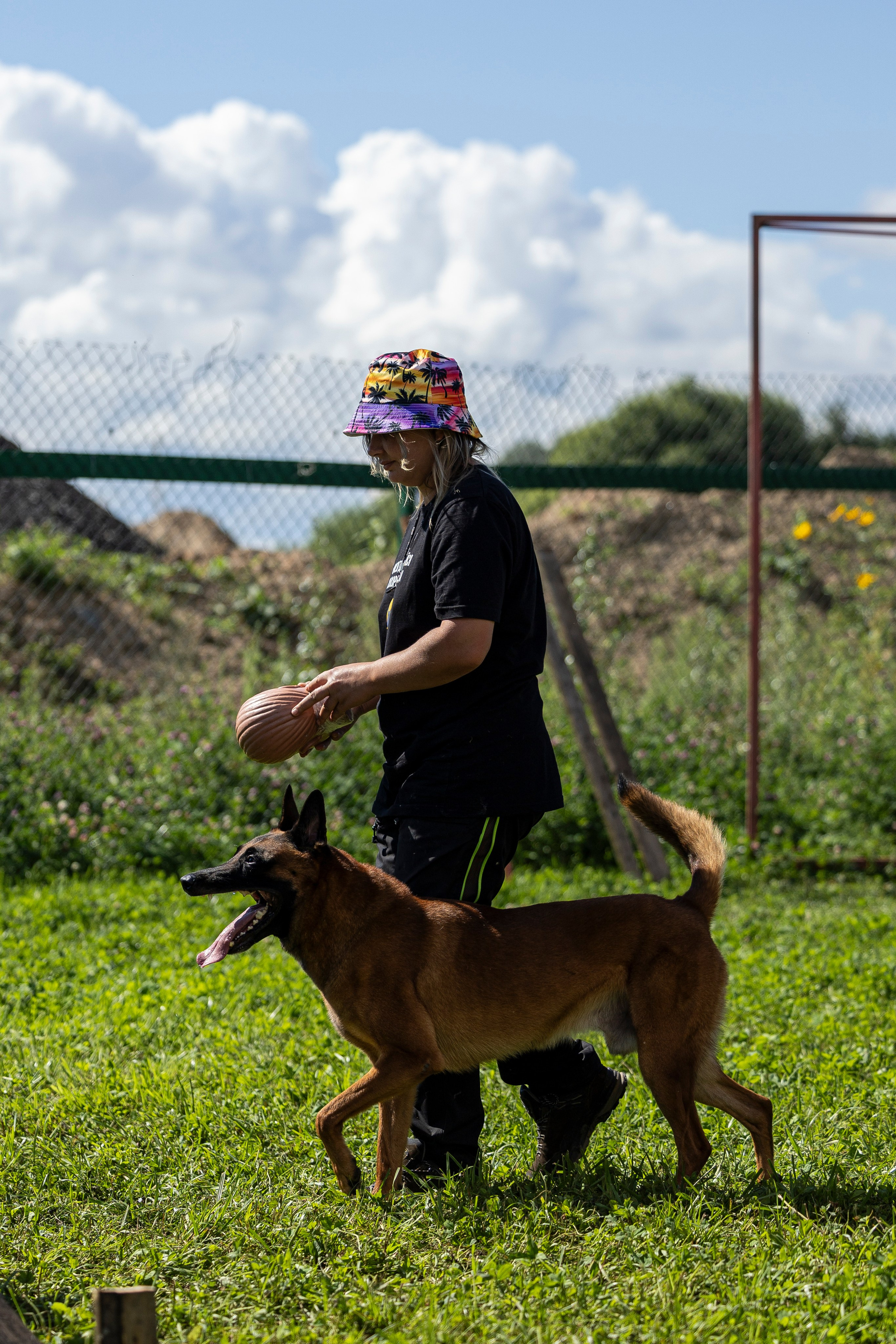 Соревнования по Мондьорингу г. Вологда 10-11.08.2024. Фотограф-анималист Анна Маринич
