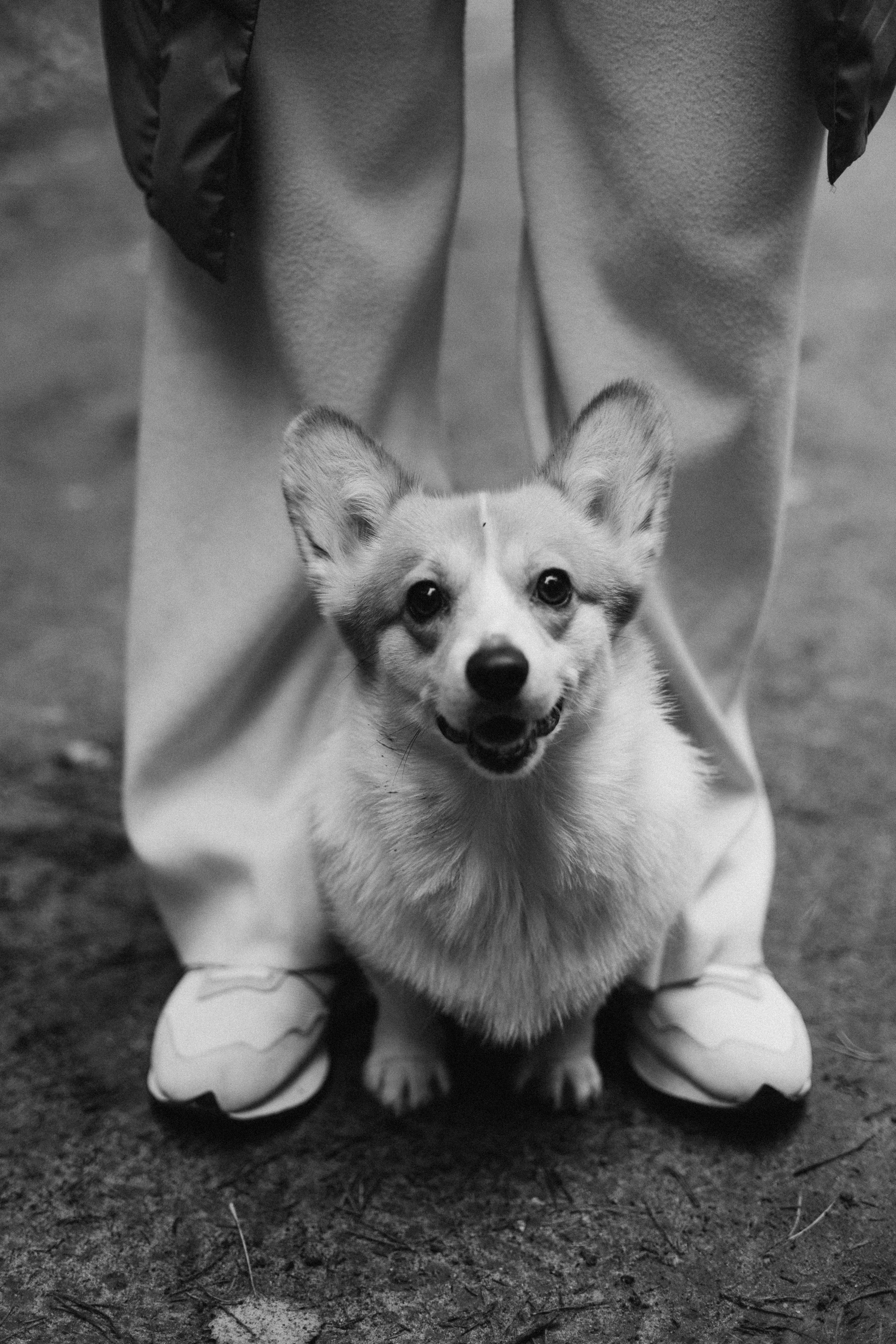 В осеннем лесу. Фотограф из Петербурга