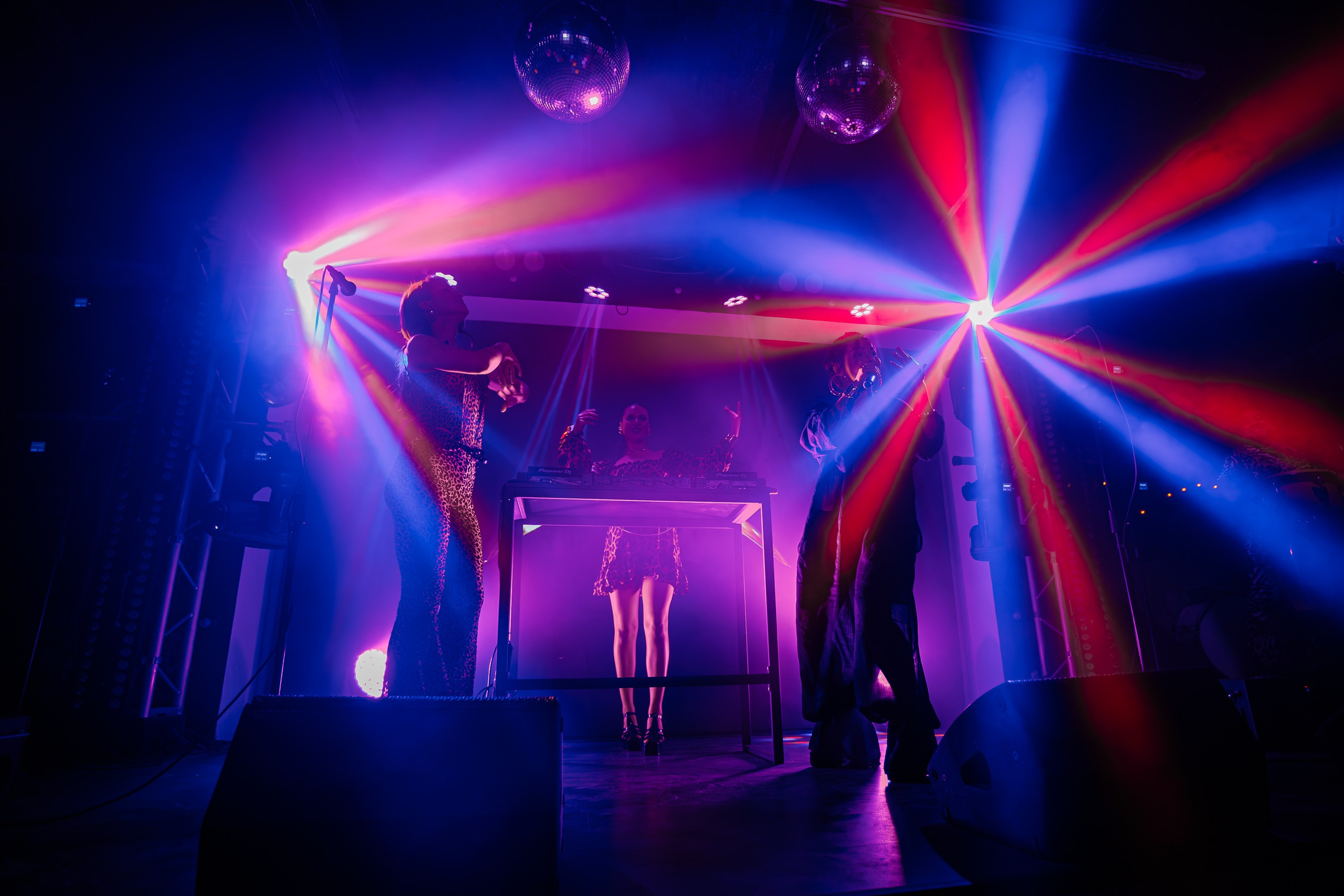 «LIZWI"_Чайка на пляже_Ялта_7.06.2025. Аминов Руслан | Фотограф