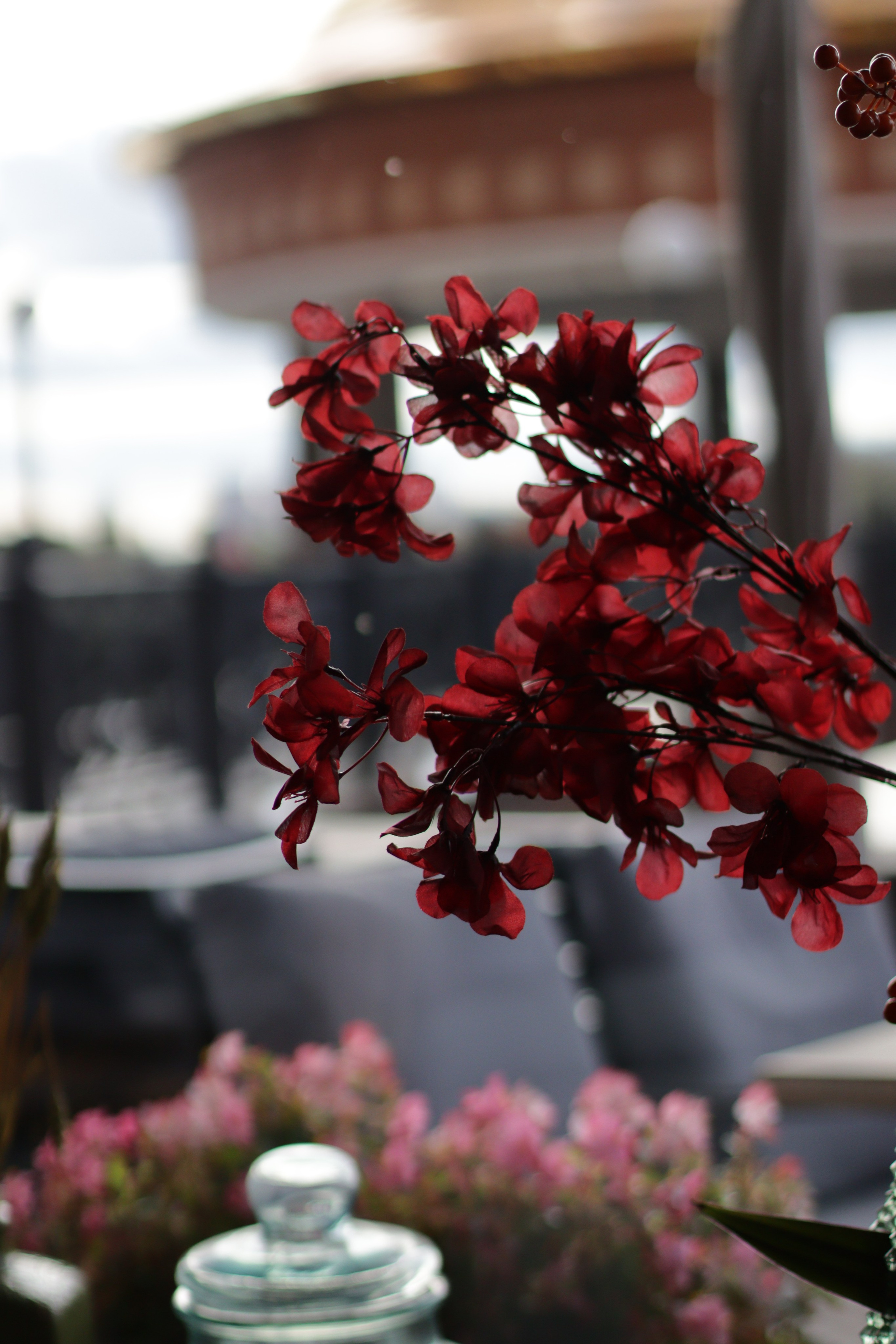 Ladies Brunch + акцентированная съемка гостей — PROMO. Jane Kudryavtseva | MODEL PHOTO & PORTRAIT