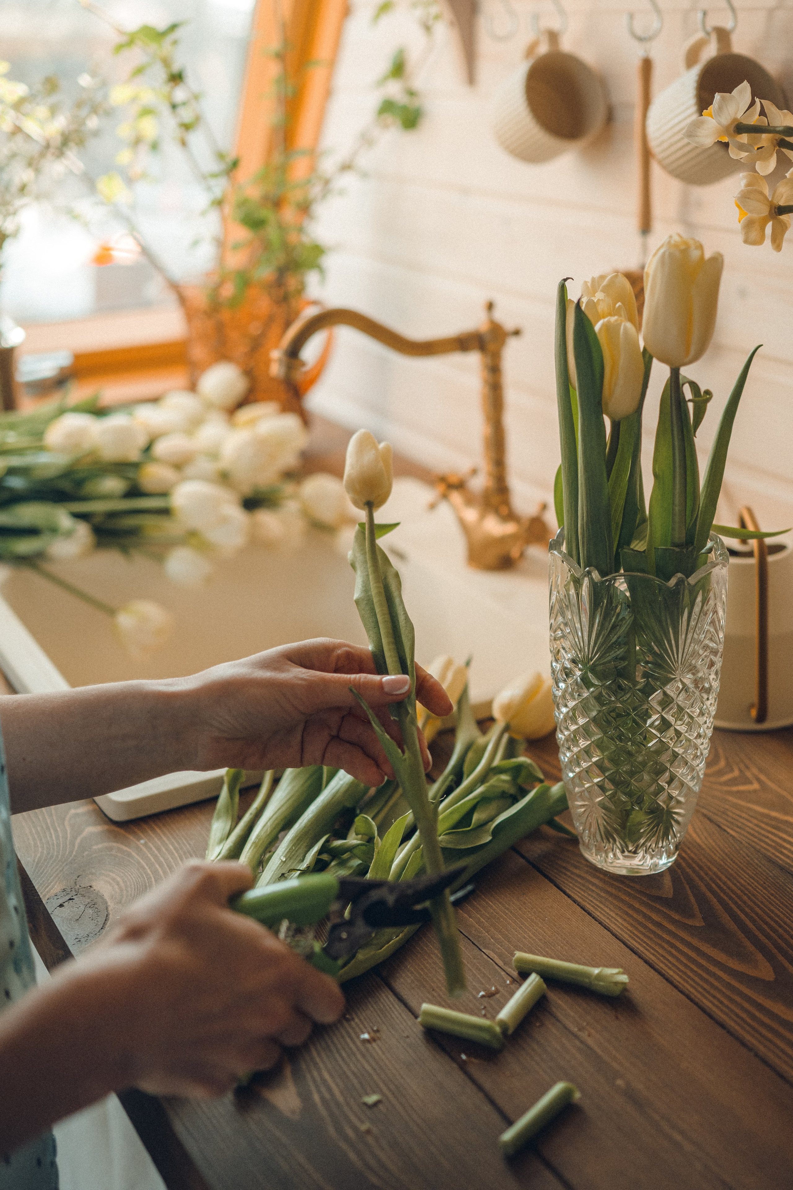 ДОМИК В ЛЕСУ. Фотограф в Белграде Чугреева Елена