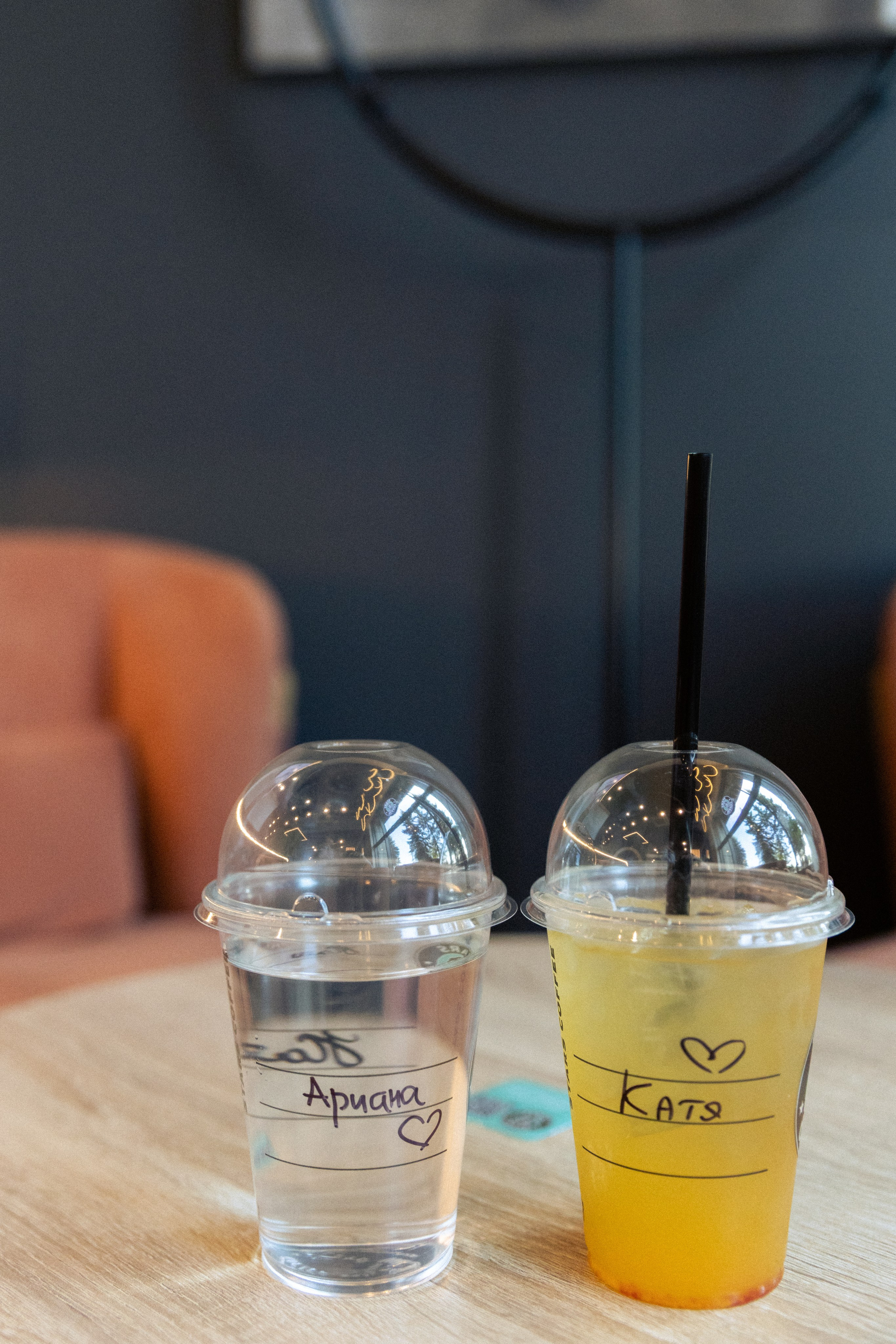 Катя и Ариана. Фотограф в Нижнем Новгороде Воробьева Анжела