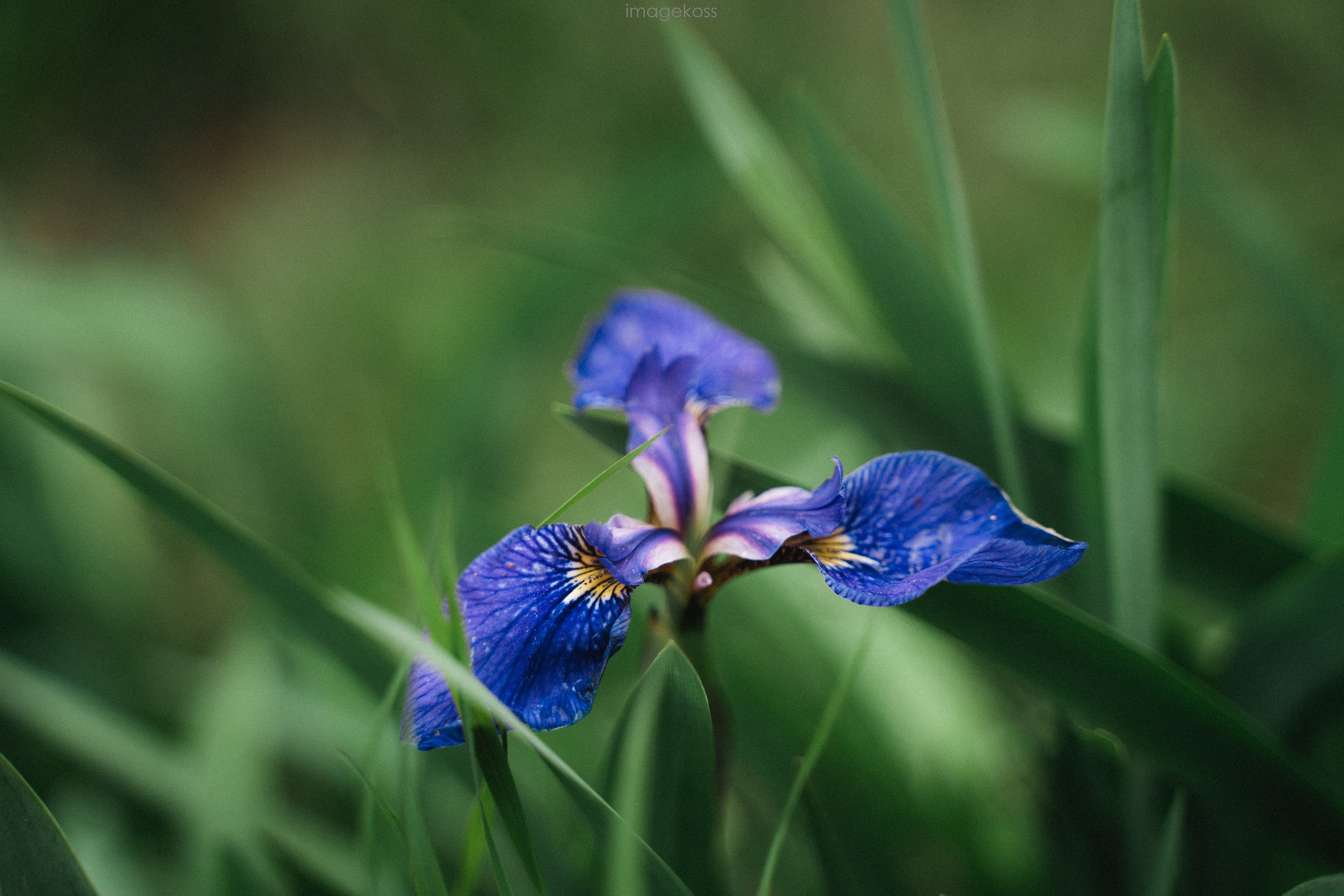 Камчатка. Фотограф в поход и восхождение на Эльбрус Игорь Косарев