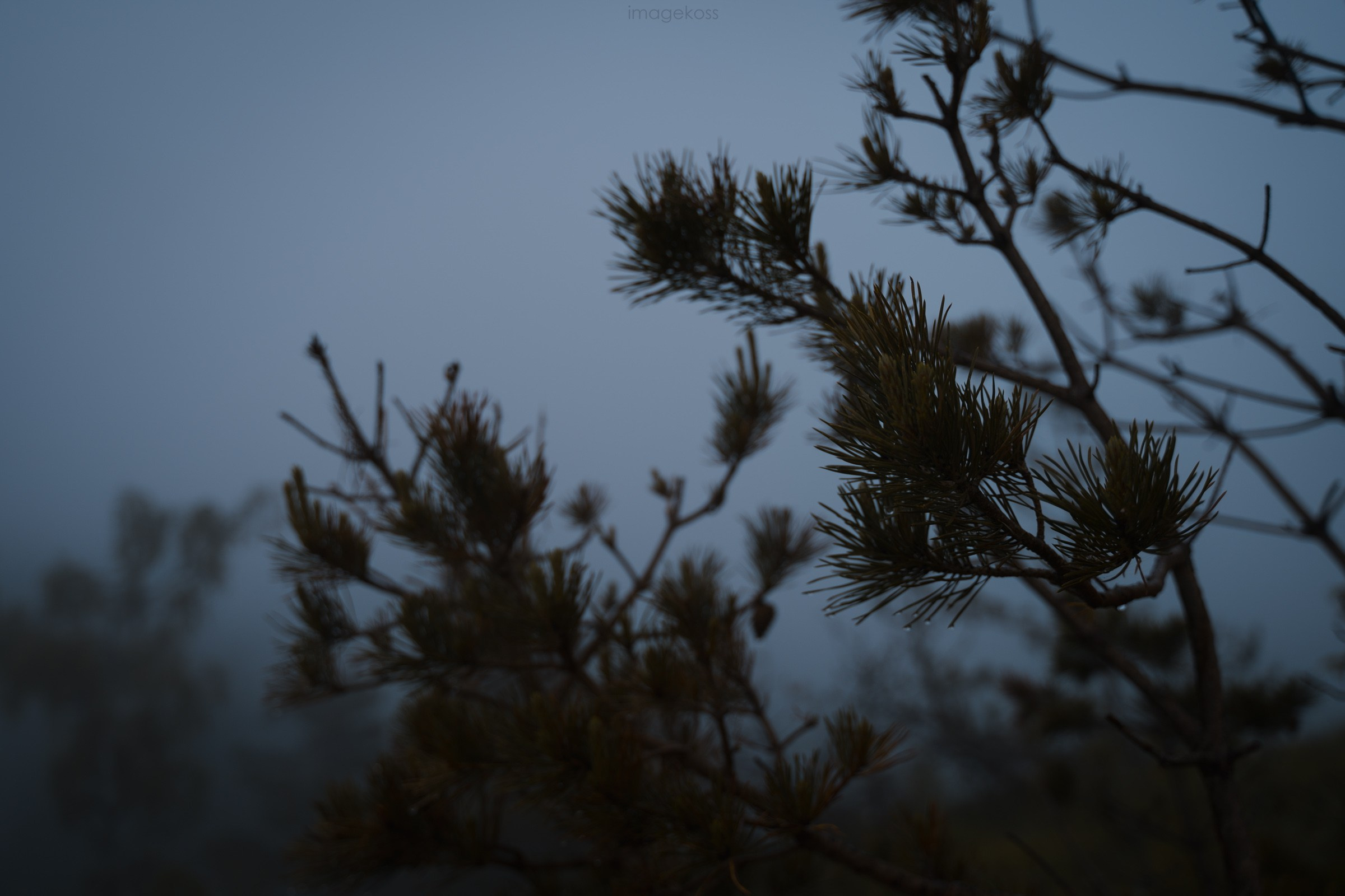 Адыгея. Большой Тхач. Фотограф в поход и восхождение на Эльбрус Игорь Косарев