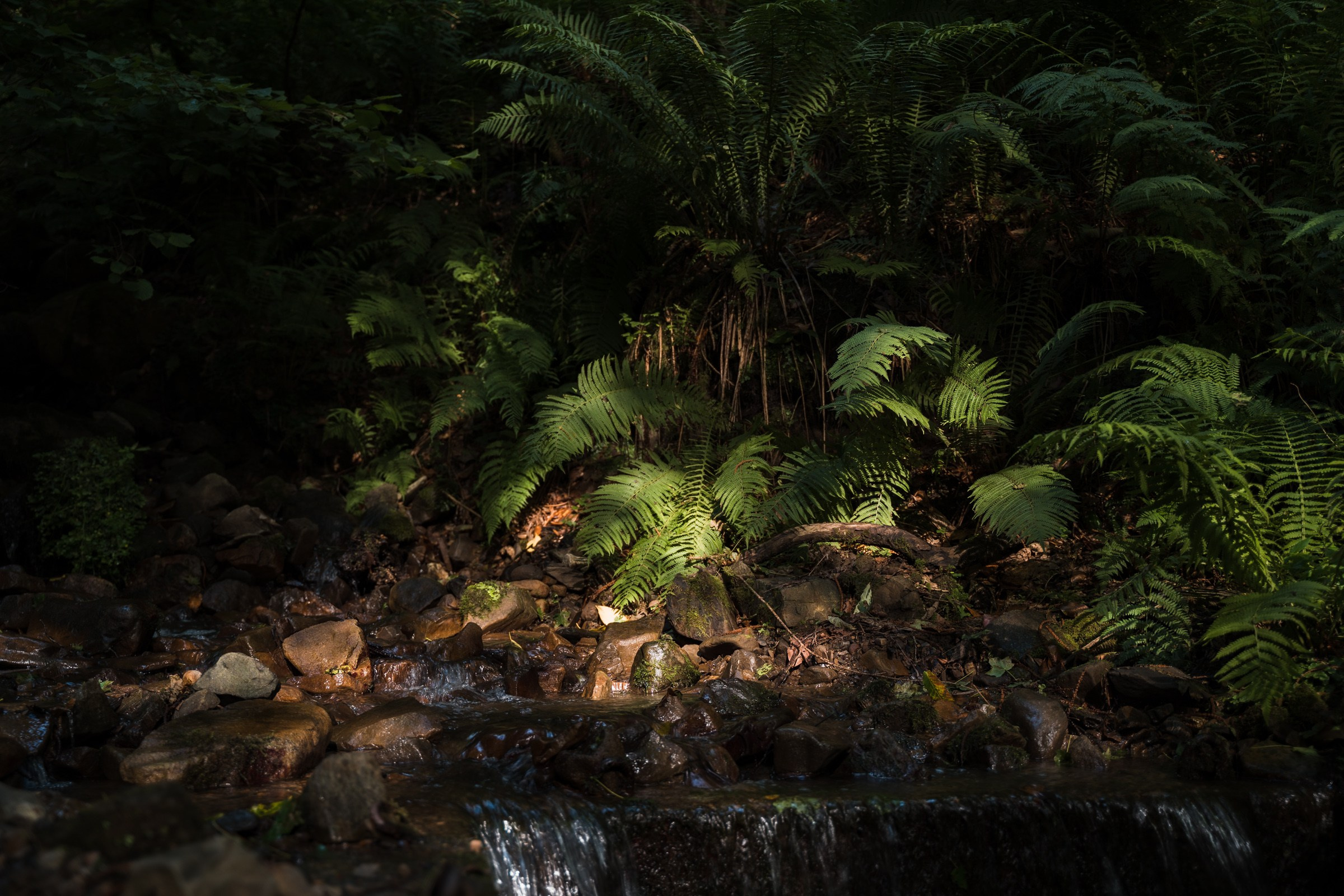 Адыгея. 30й маршрут. Фотограф в поход и восхождение на Эльбрус Игорь Косарев
