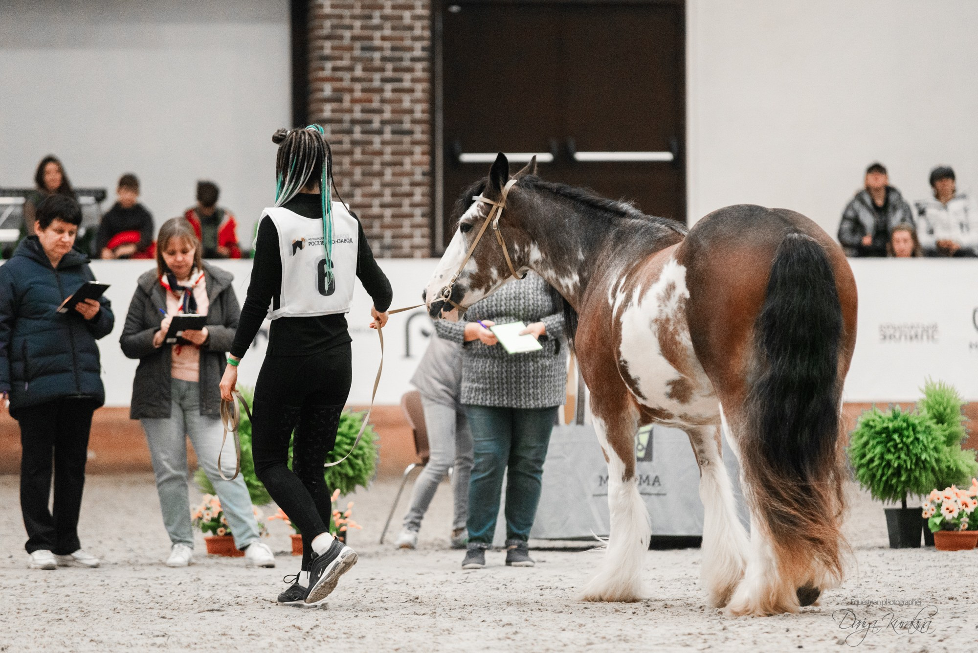 8-я международная выставка Конная Россия. Конный фотограф Куракина Дарья • Фотосессии с лошадьми