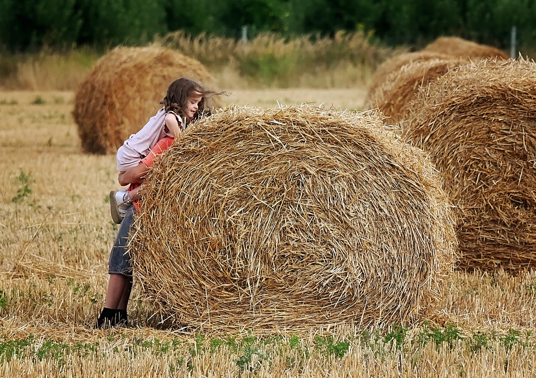 Сено. Главная