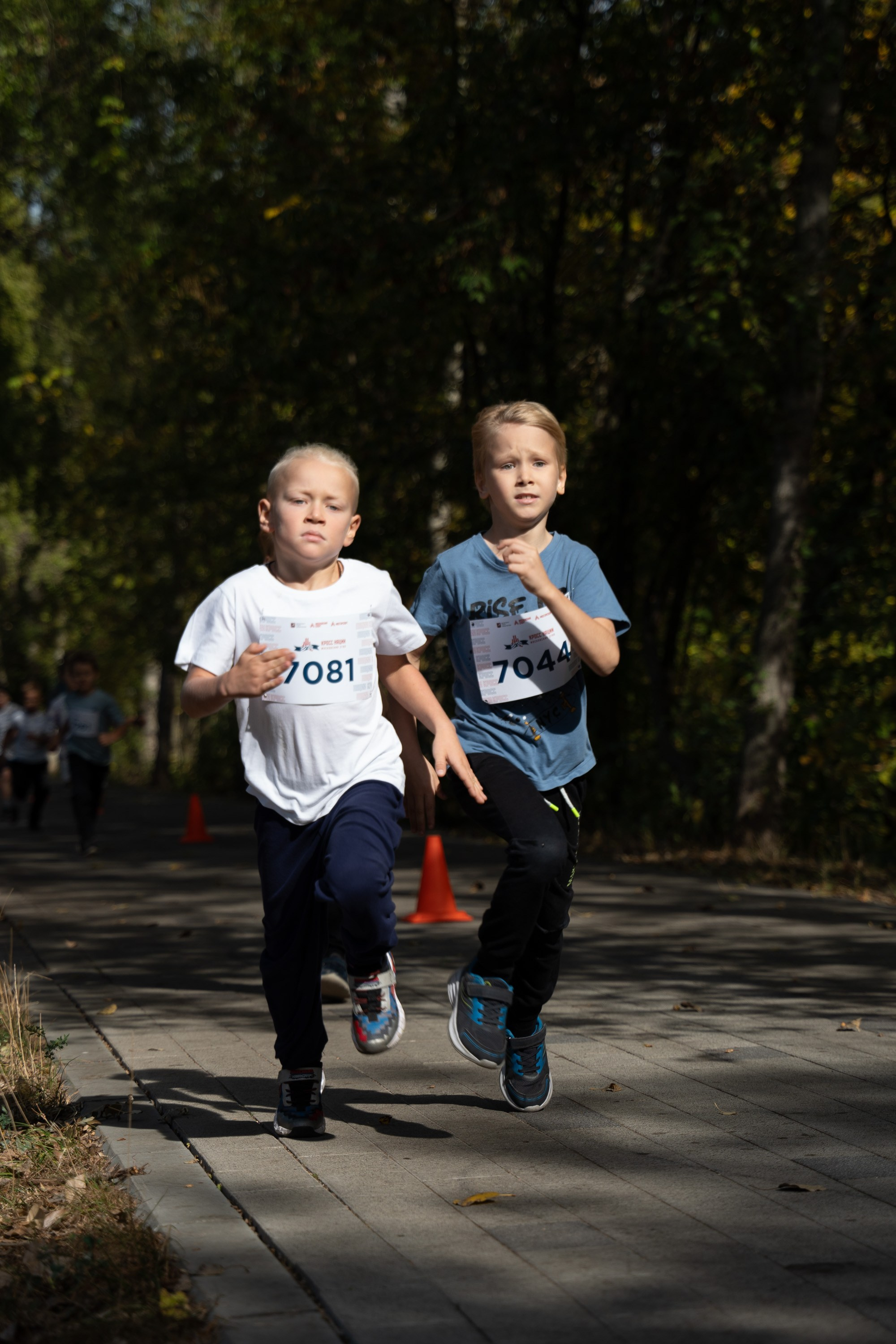 Кросс Нации 2024. Фотограф в Москве Марченко Александр