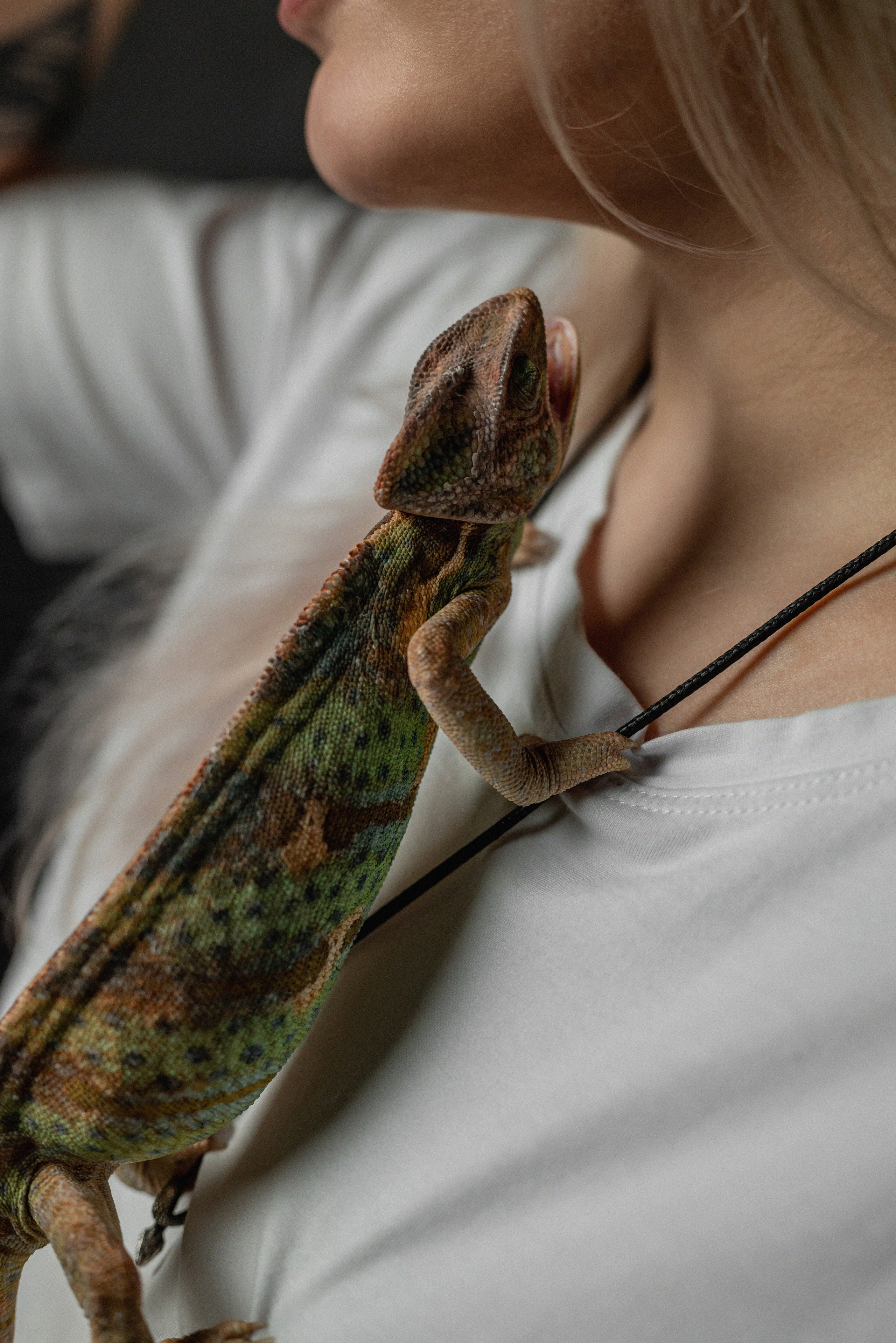 Кристина. Фотограф в городе Салават